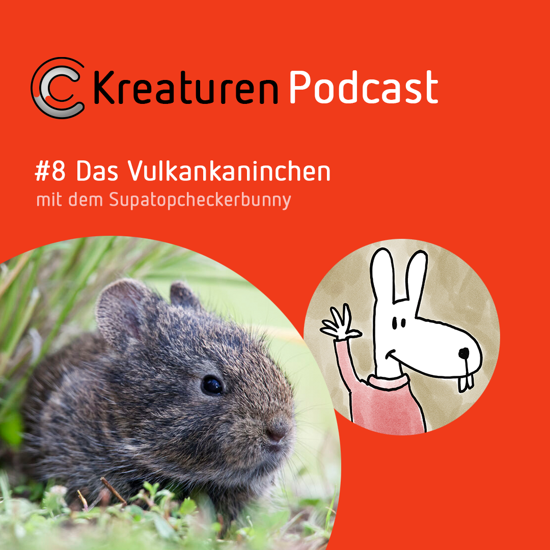 Kreaturen Podcast - Folge 08: Das Vulkankaninchen mit Supatopcheckerbunny episode artwork