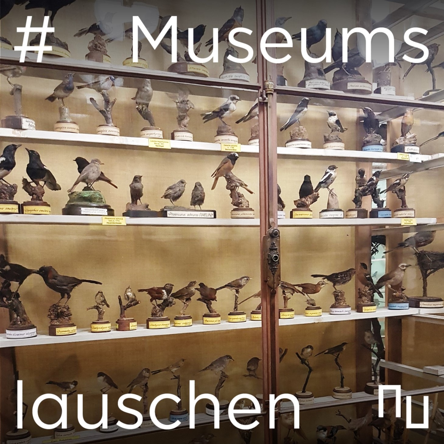 Museumslauschen – Der Podcast aus Museen in Sachsen-Anhalt