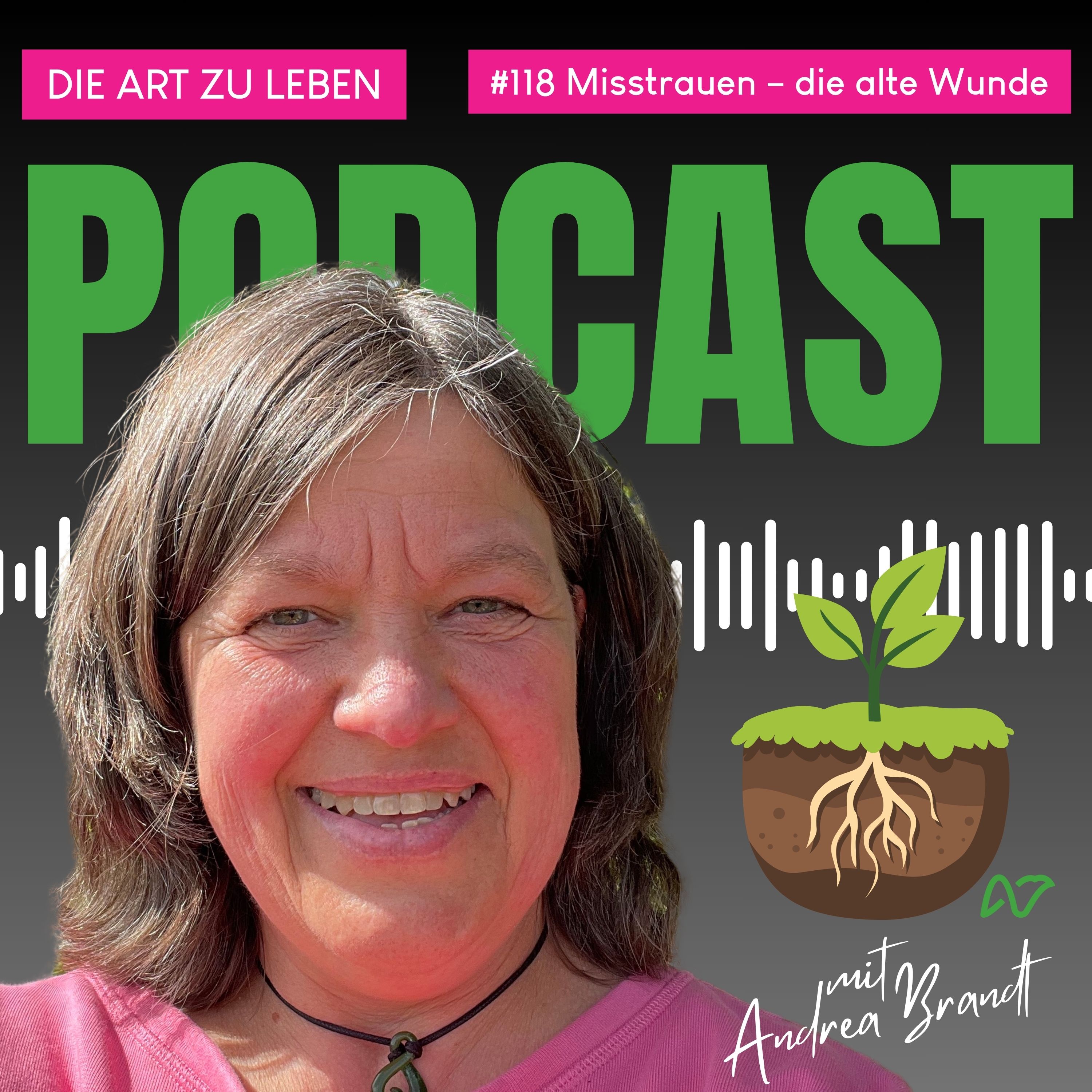 #118 Misstrauen – Wenn alte Wunden neue Beziehungen blockieren episode artwork