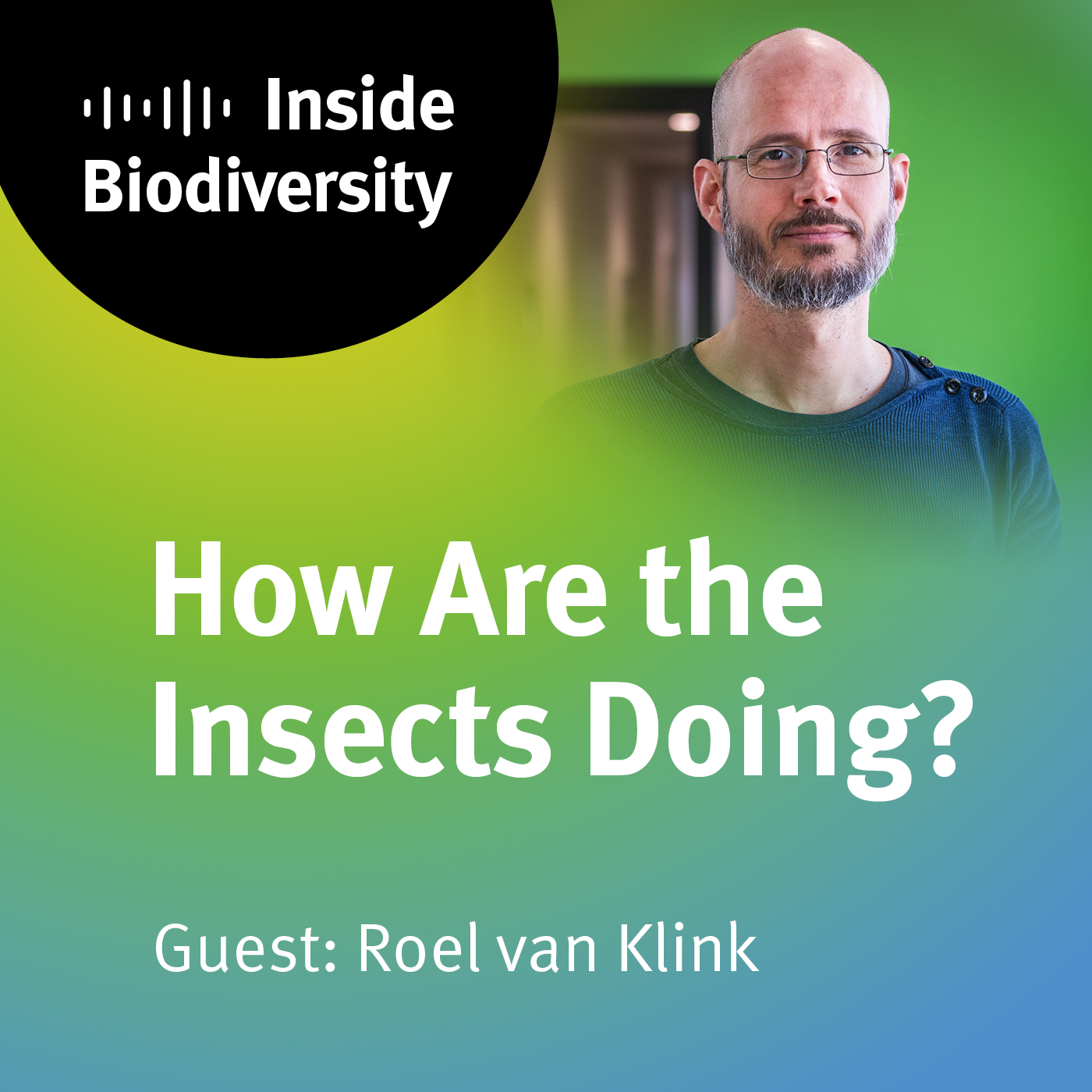 How Are the Insects Doing?