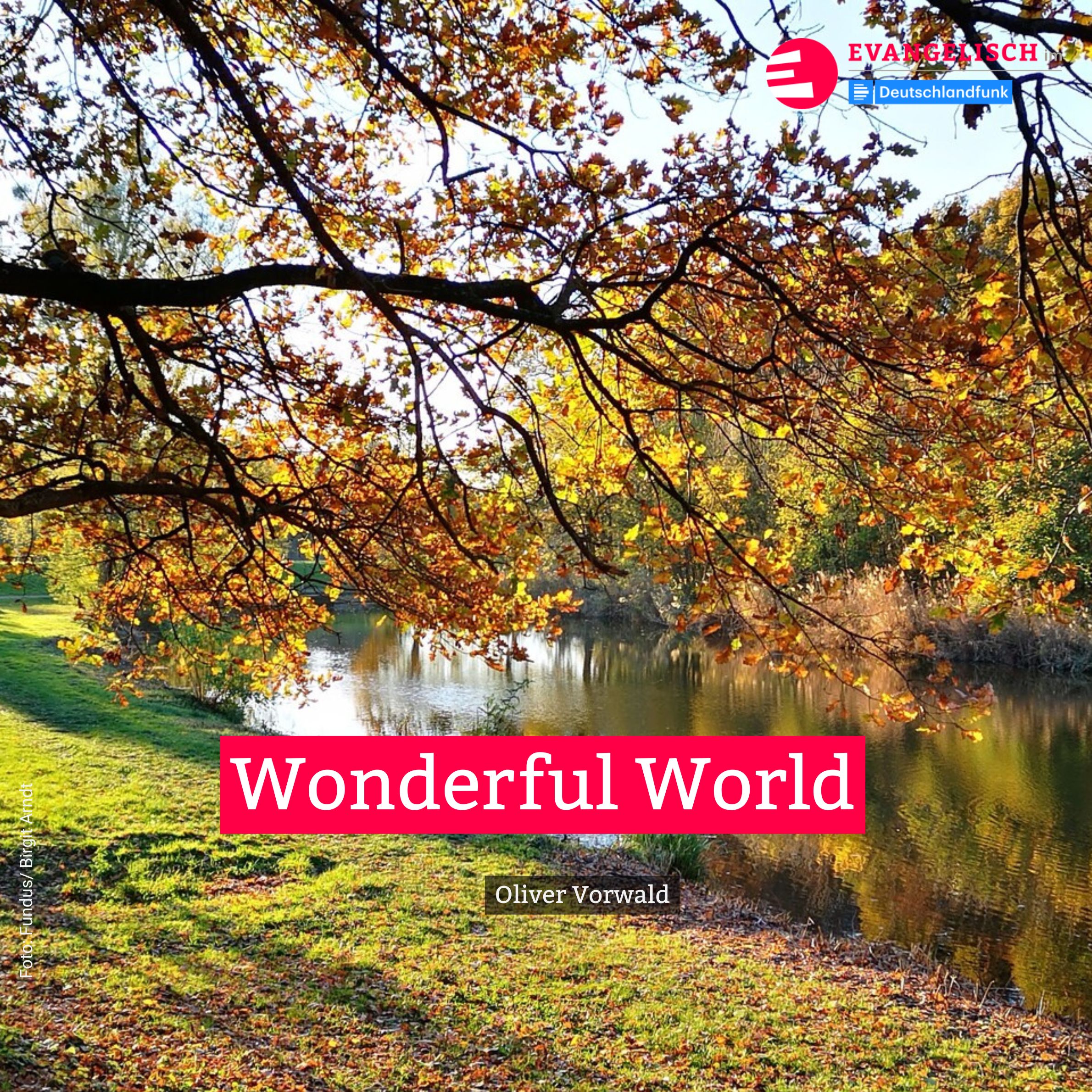 Wonderful World episode artwork