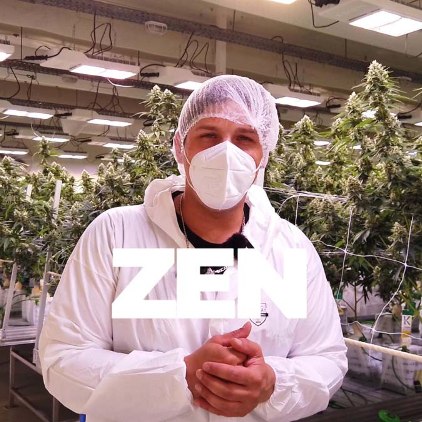 CannaZen 🥦 News & Wissen