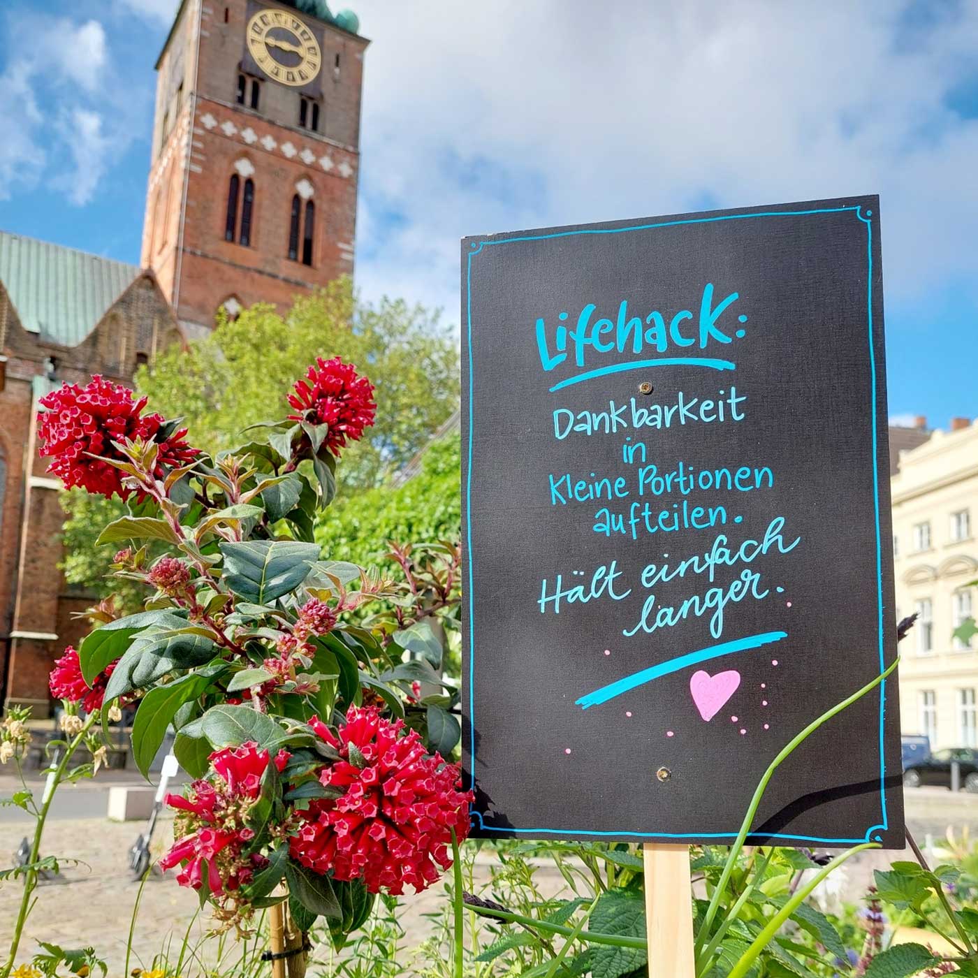 Grün macht glücklich! Pflanzen streicheln im Kulturgarten episode artwork