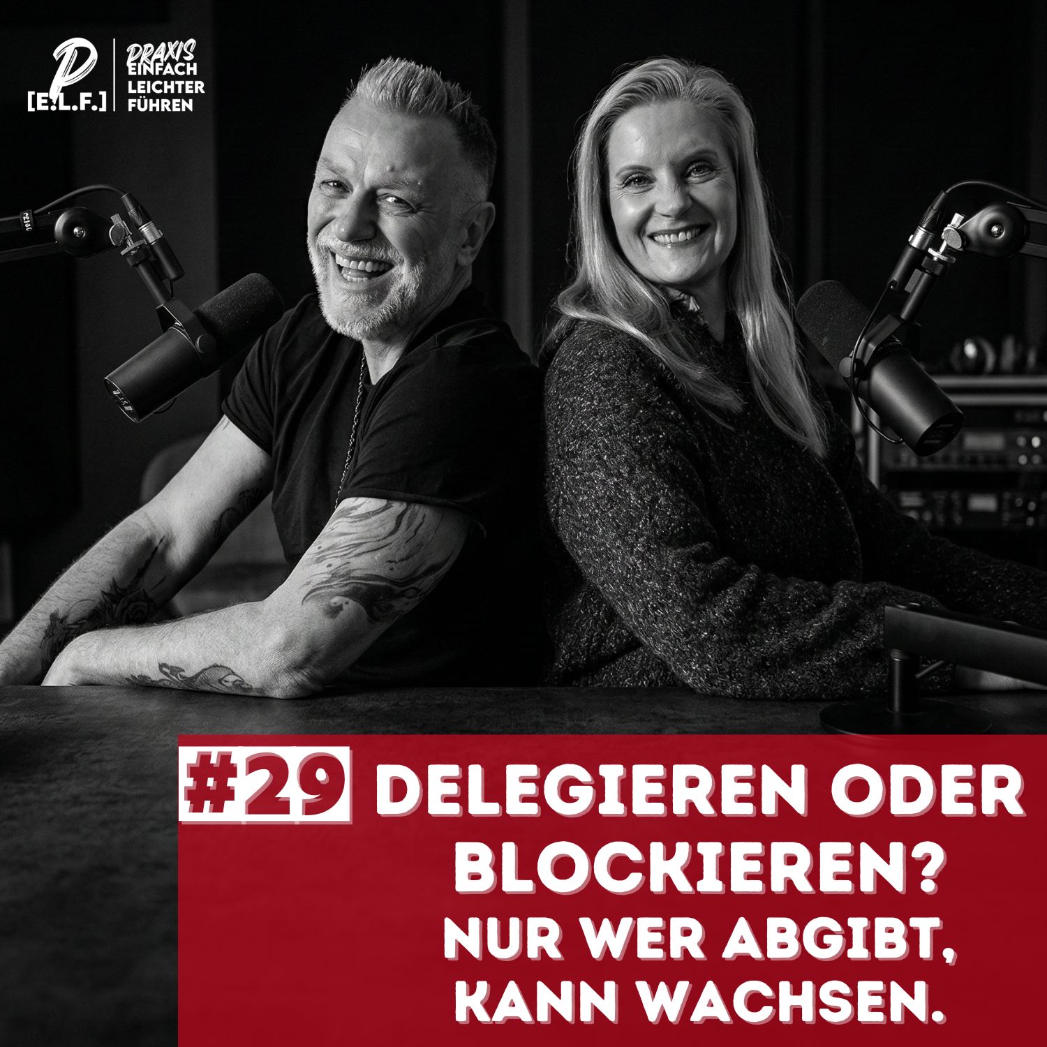 Delegieren oder blockieren: Nur wer abgibt, kann wachsen | #29 episode artwork