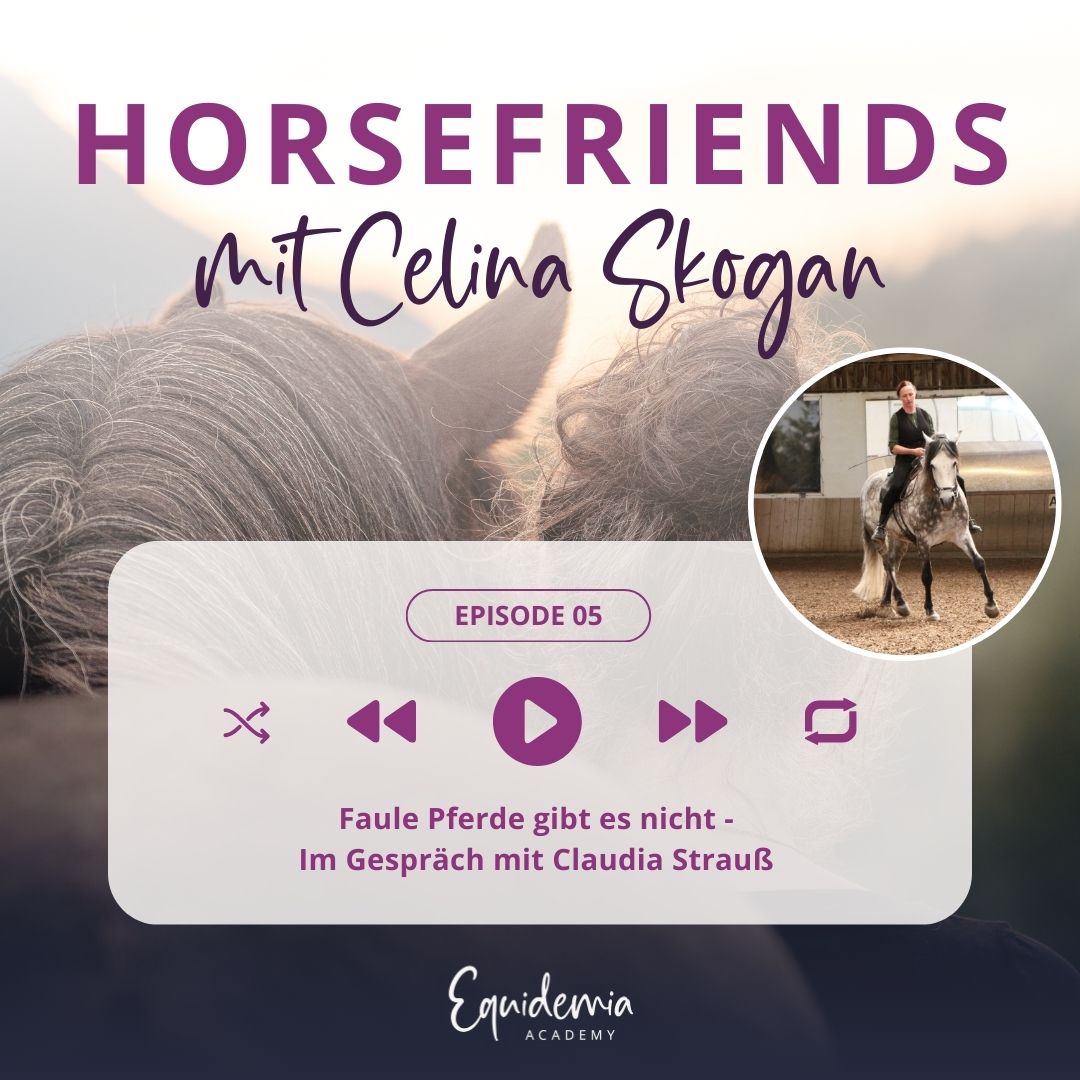 Horsefriends
