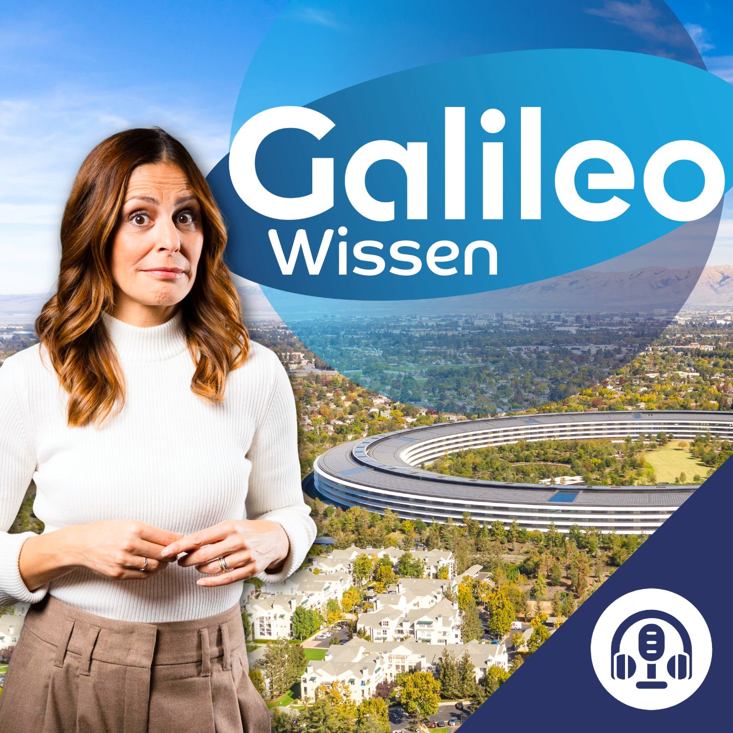 20 Minuten Silicon-Valley Wissen episode artwork