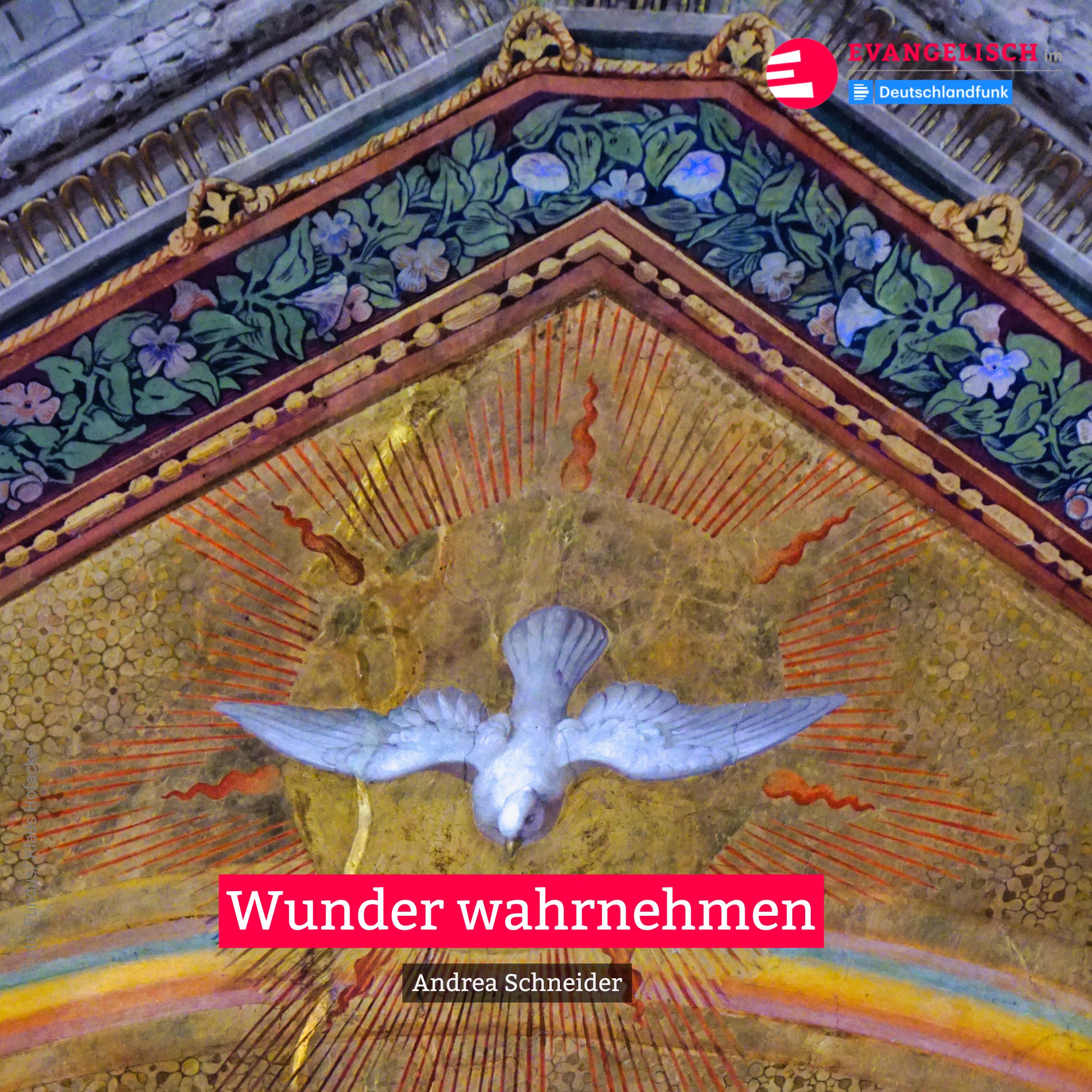 Wunder wahrnehmen
