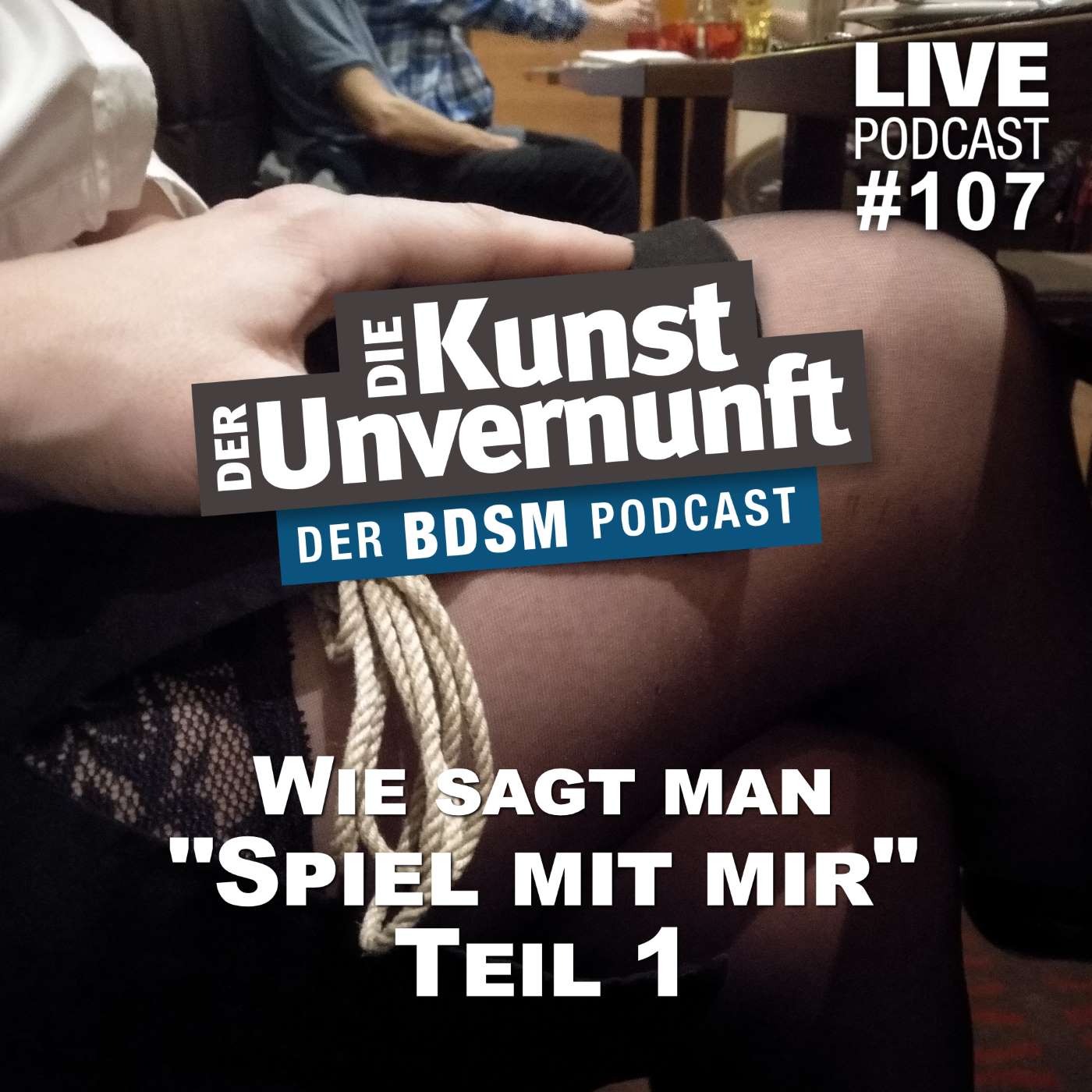BDSM - Die Kunst der Unvernunft