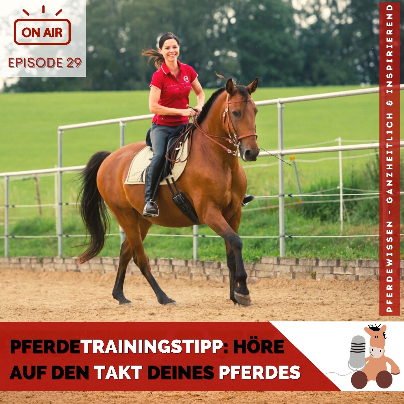 Pferdewissen - ganzheitlich & inspirierend mit Sandra Fencl