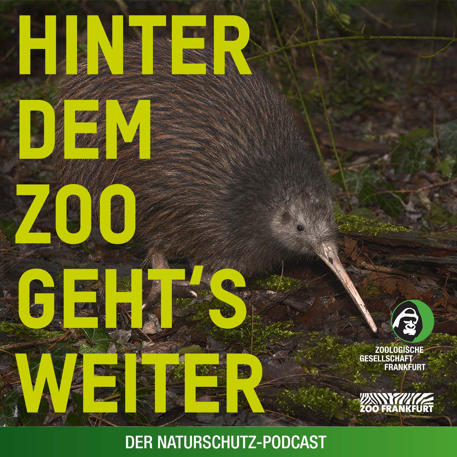Hinter dem Zoo geht\'s weiter - Der Naturschutzpodcast aus Frankfurt