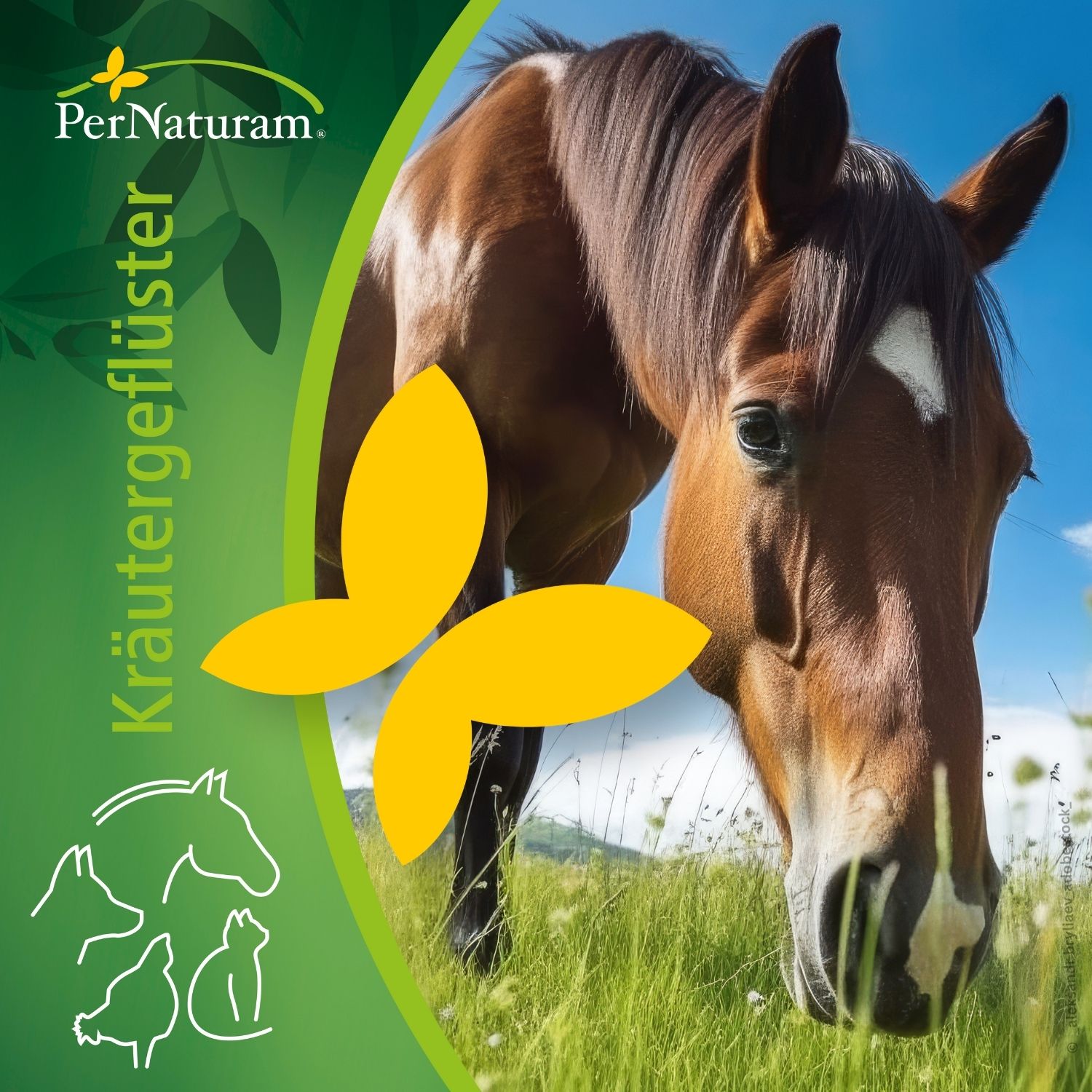 PerNaturam Kräutergeflüster