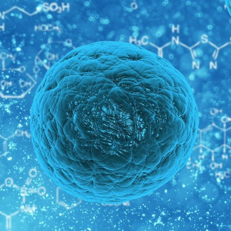 Coronavirus vs. Immunsystem