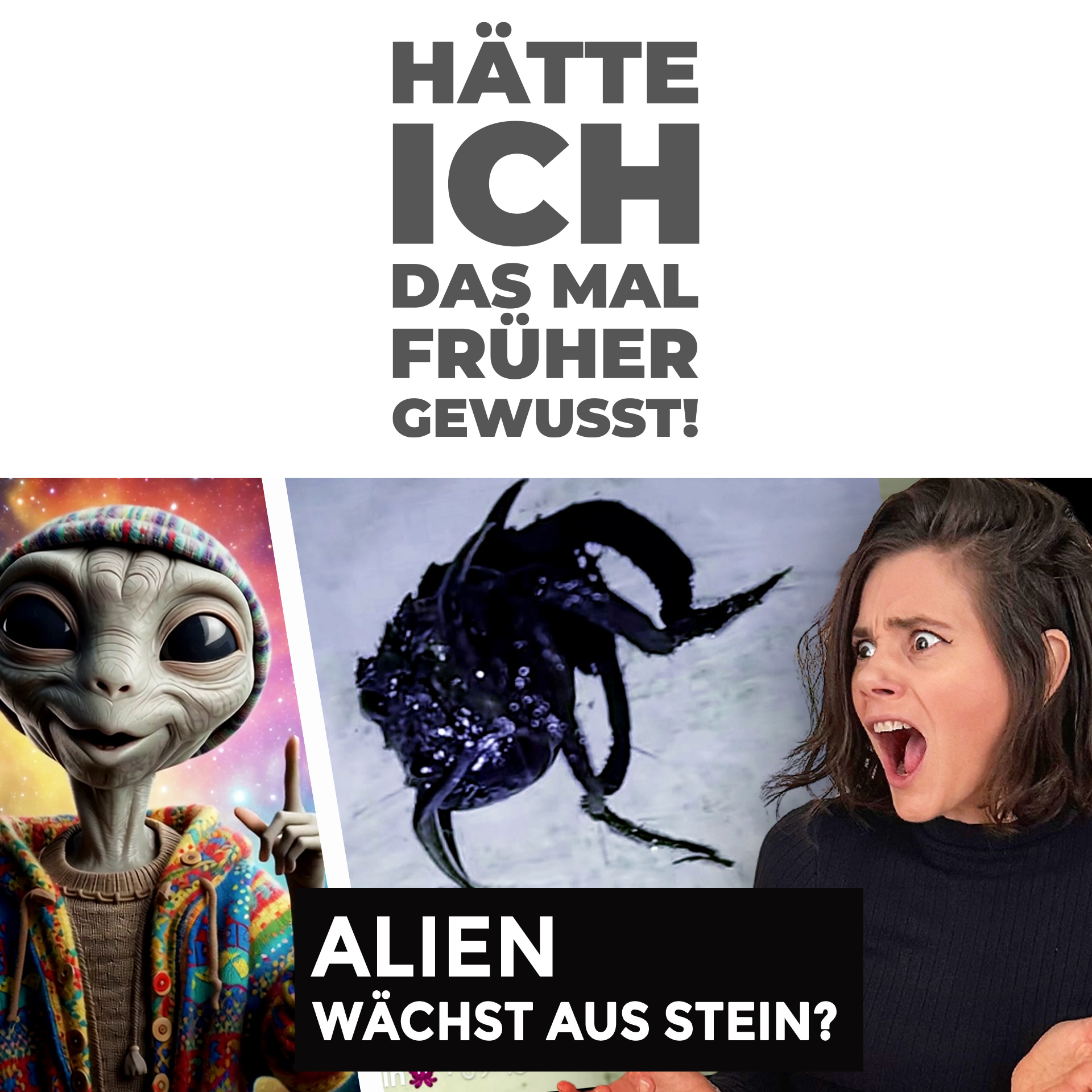 Alien wächst aus Stein?