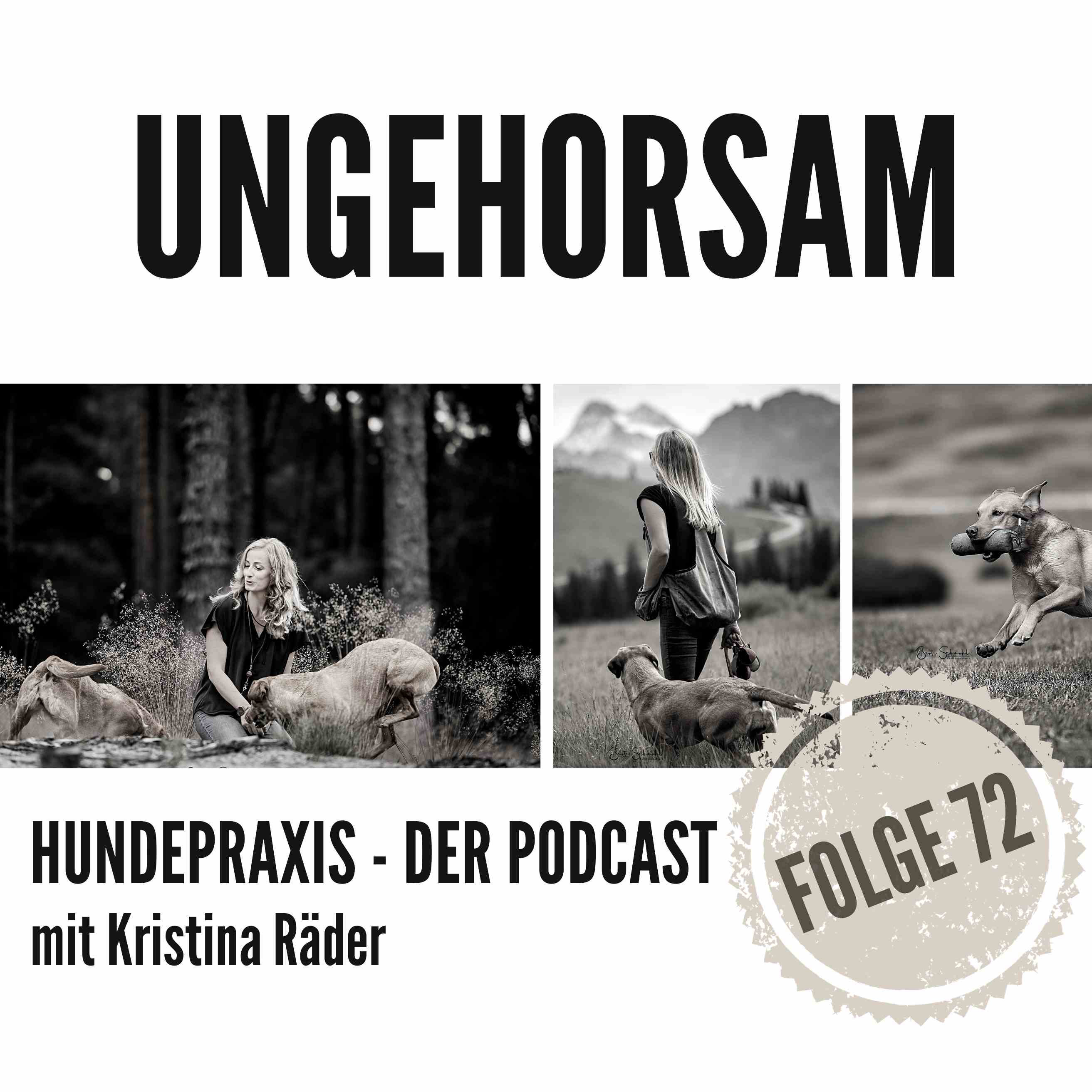 Hundepraxis - der Podcast