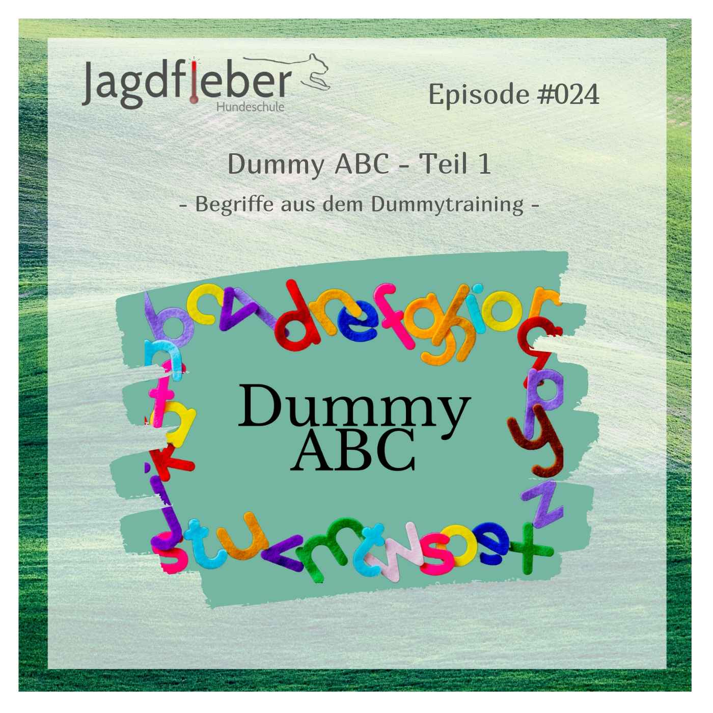 Dummy & Co