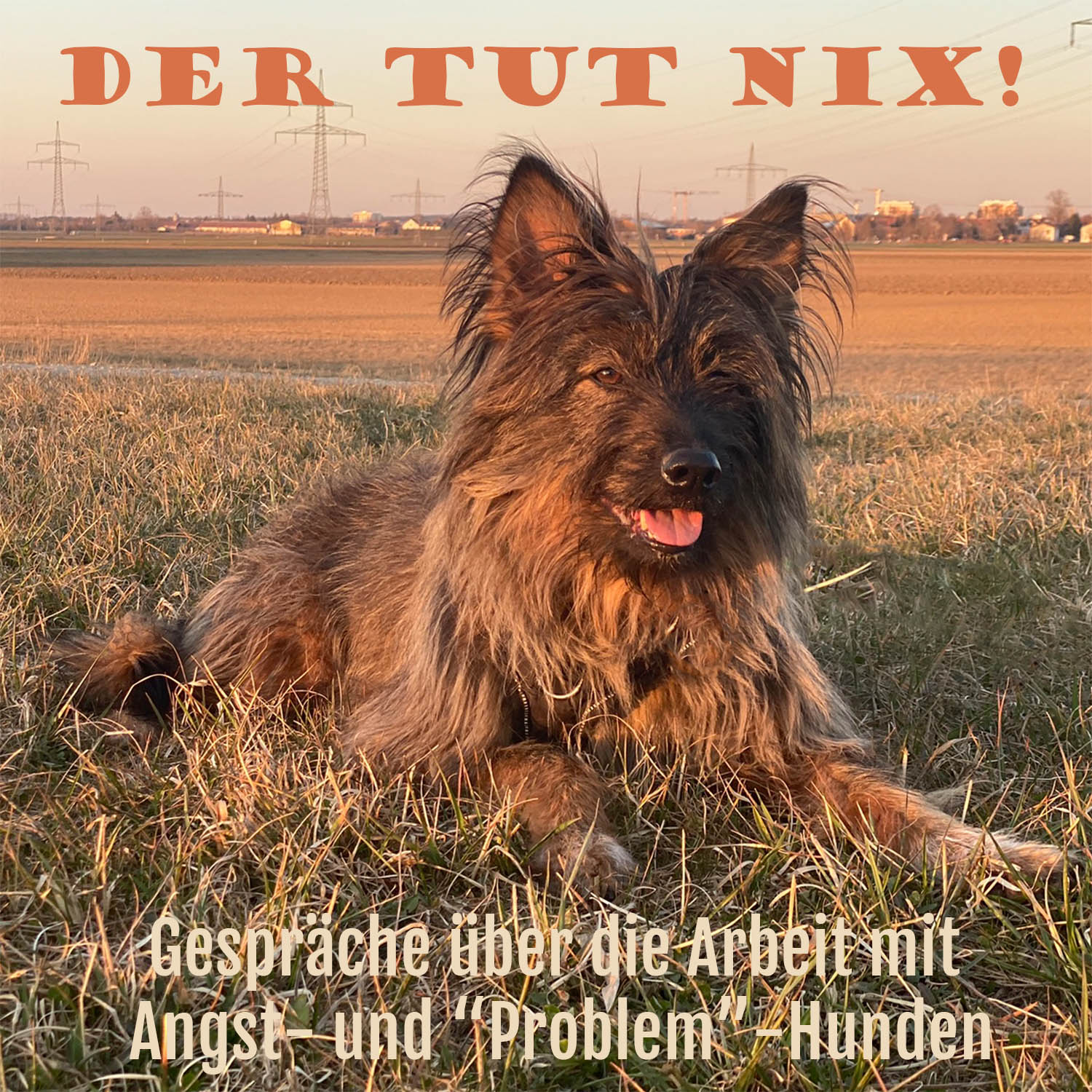 Der Tut Nix!