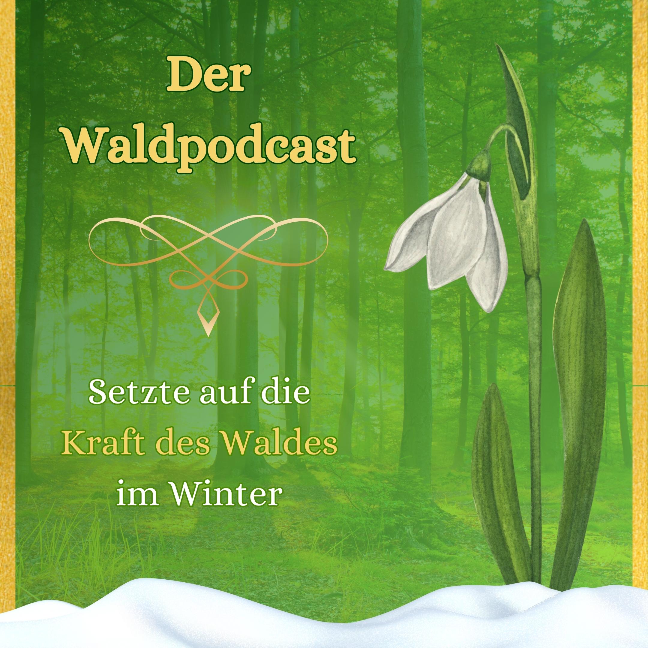Waldpodcast - für deine innere & äußere Natur