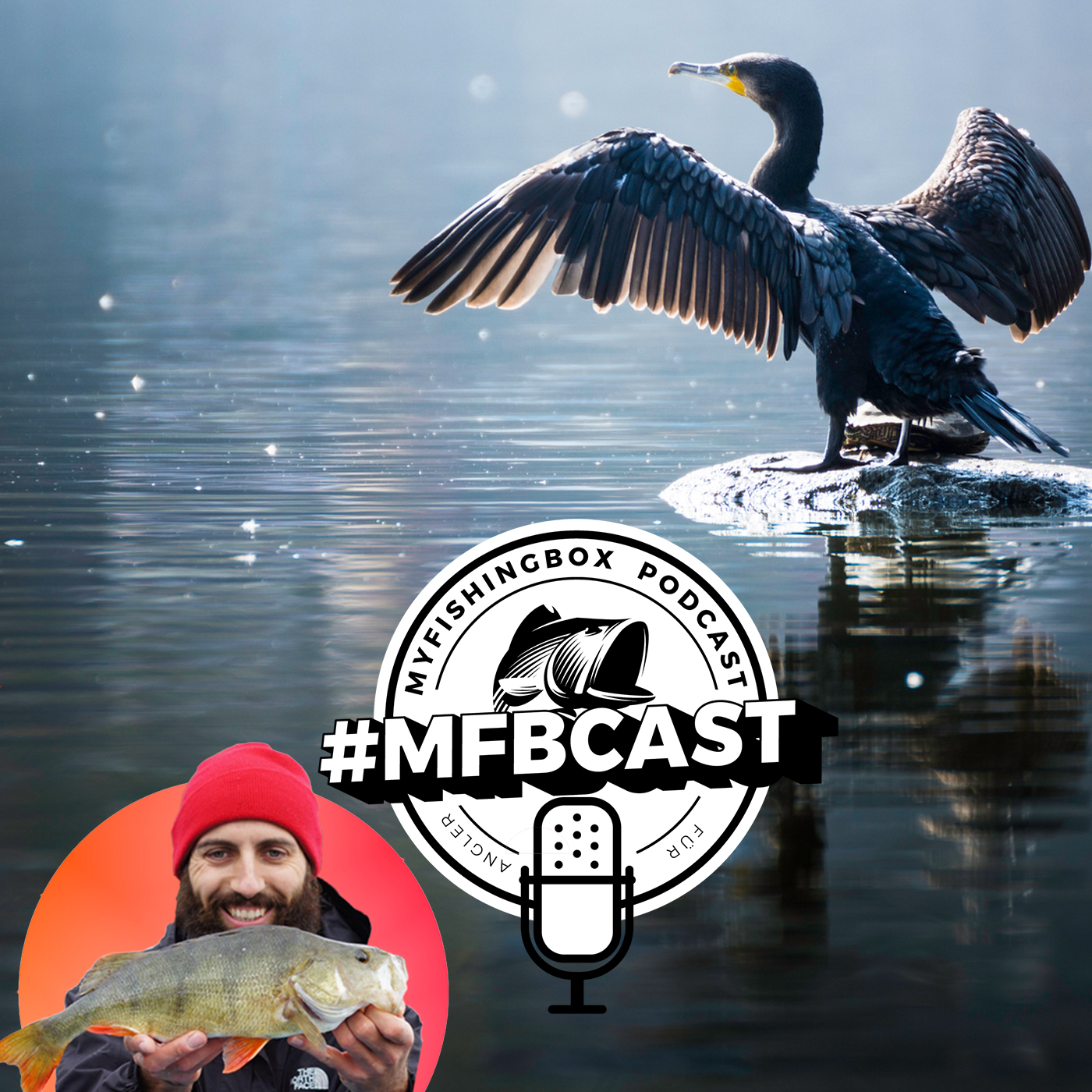 #4 ANGLER und der KORMORAN // MFBCAST DER ANGEL PODCAST
