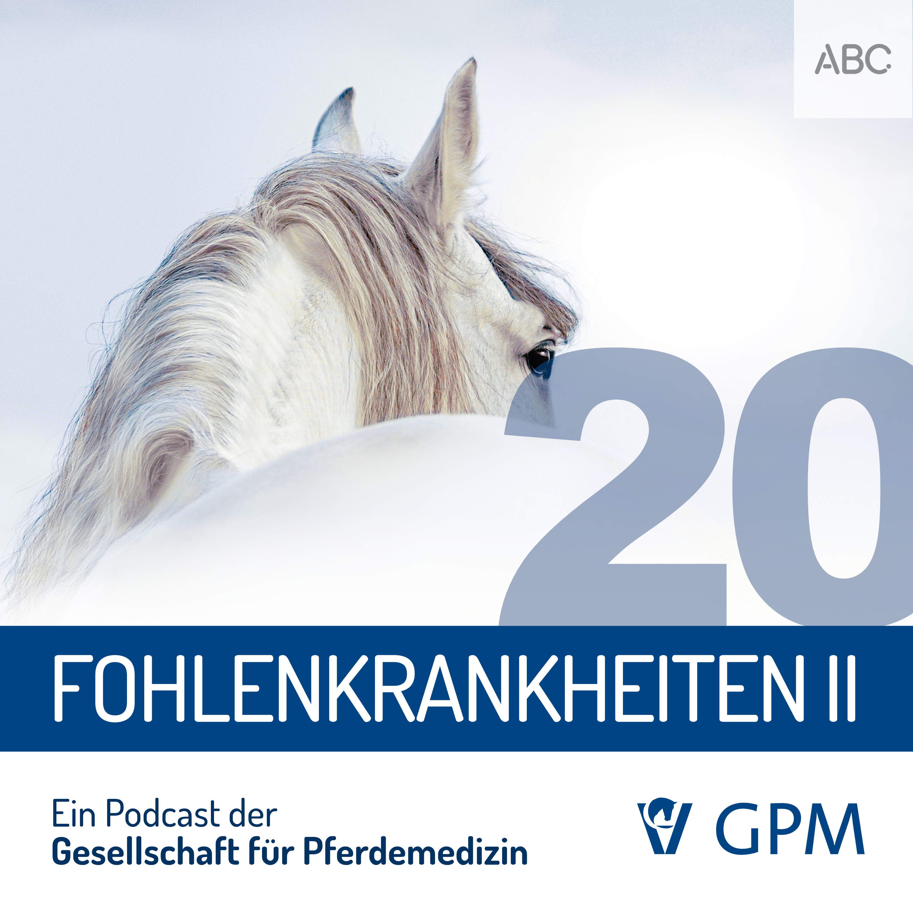 Pferdemedizin heute
