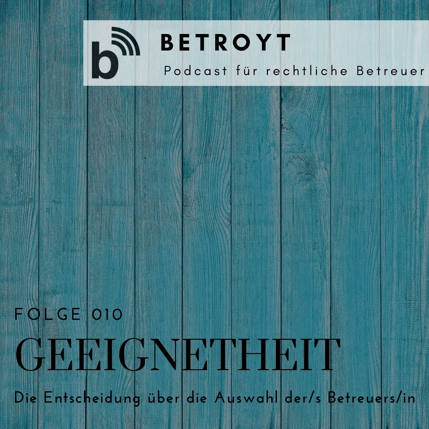 Folge 010 Geeignetheit - Die Entscheidung über die Auswahl der/s Betreuers/in