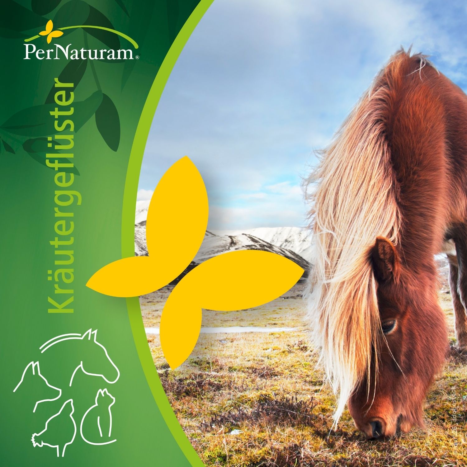 PerNaturam Kräutergeflüster