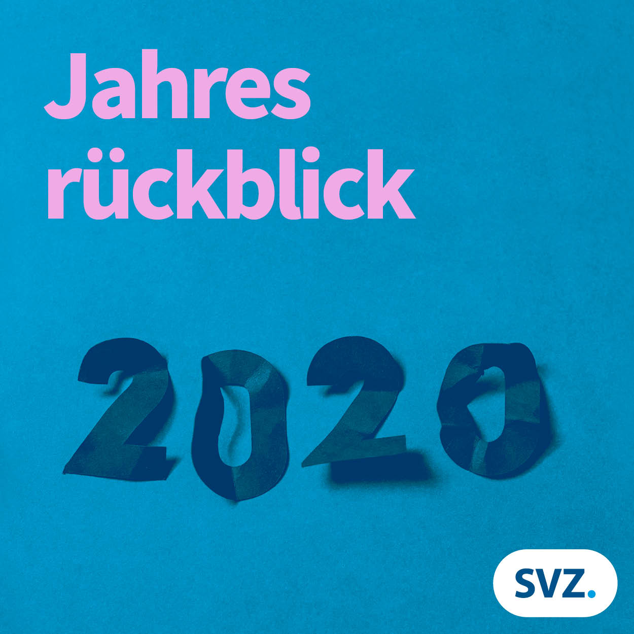 SVZ Audio Snack