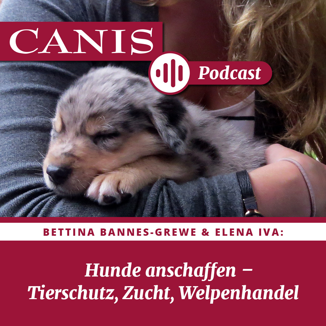 Der CANIS-Podcast – Hundeexpert:innen ausgefragt