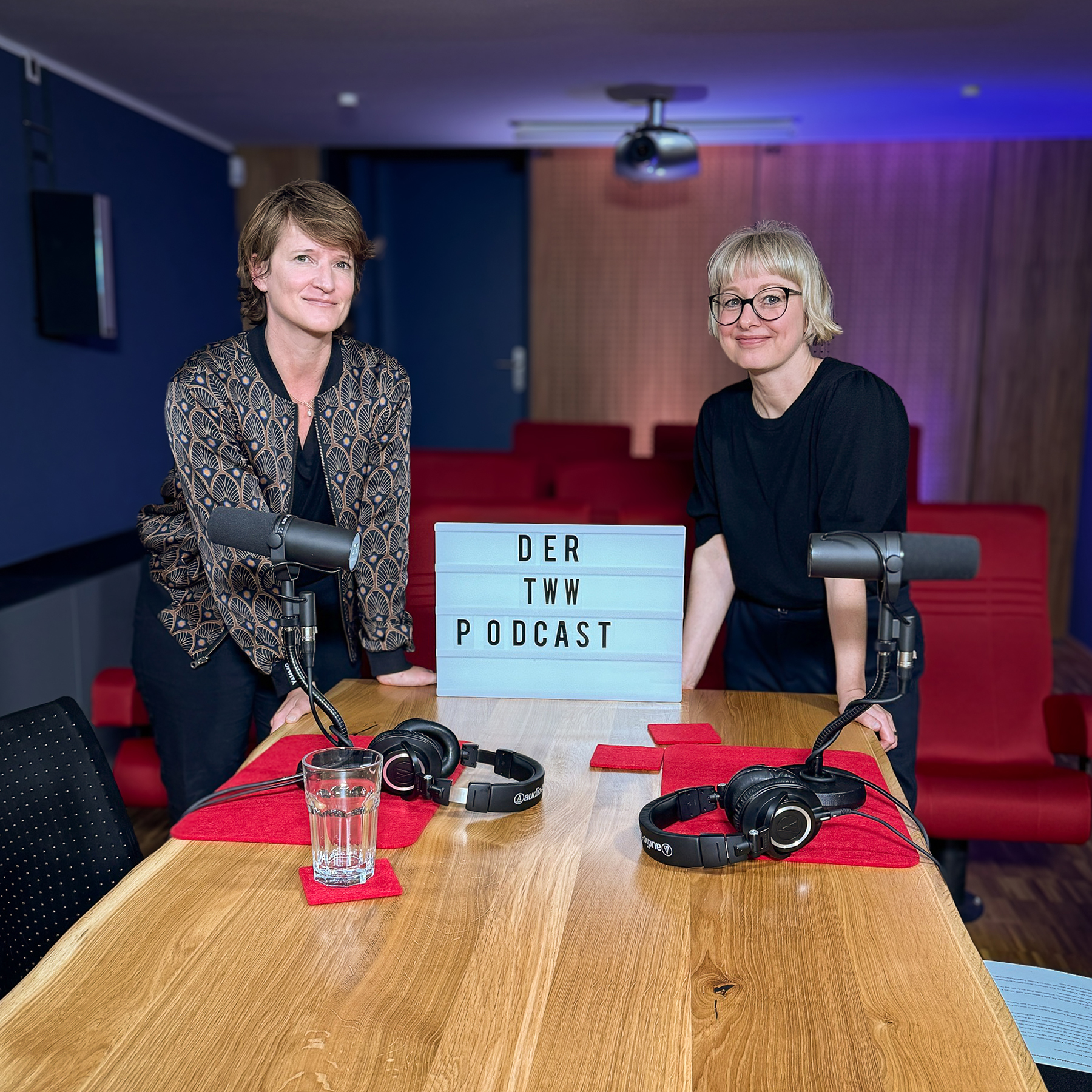 Depression erkennen und behandeln (1/3) : Symptome, Formen und Therapieansätze im Überblick episode artwork