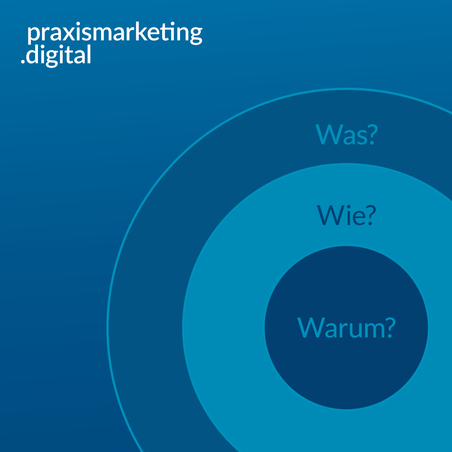 praxismarketing.digital