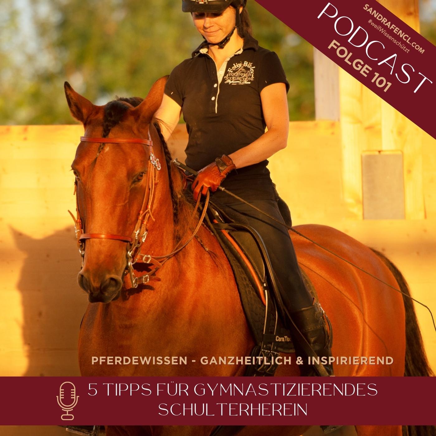 🏇 Gymnastizierendes Schulterherein episode artwork