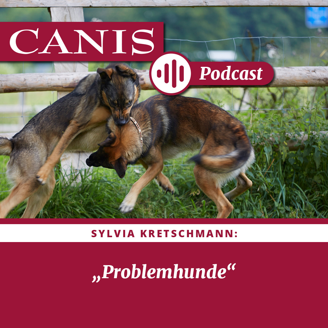 Der CANIS-Podcast – Hundeexpert:innen ausgefragt