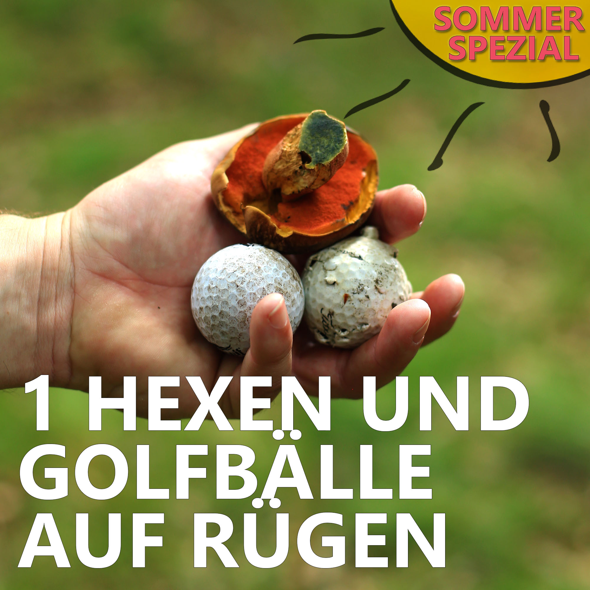 Der Pilzpodcast
