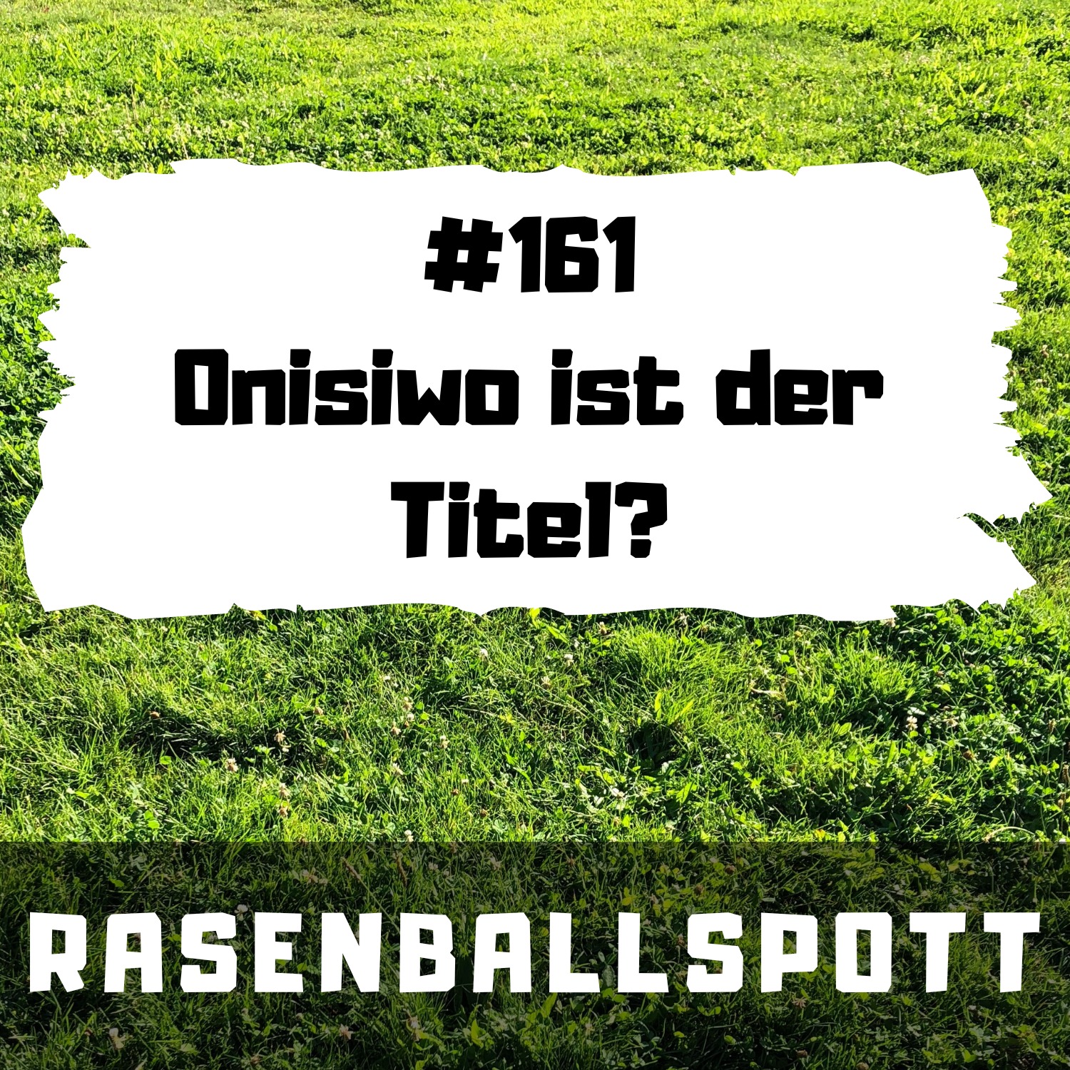 RASENBALLSPOTT