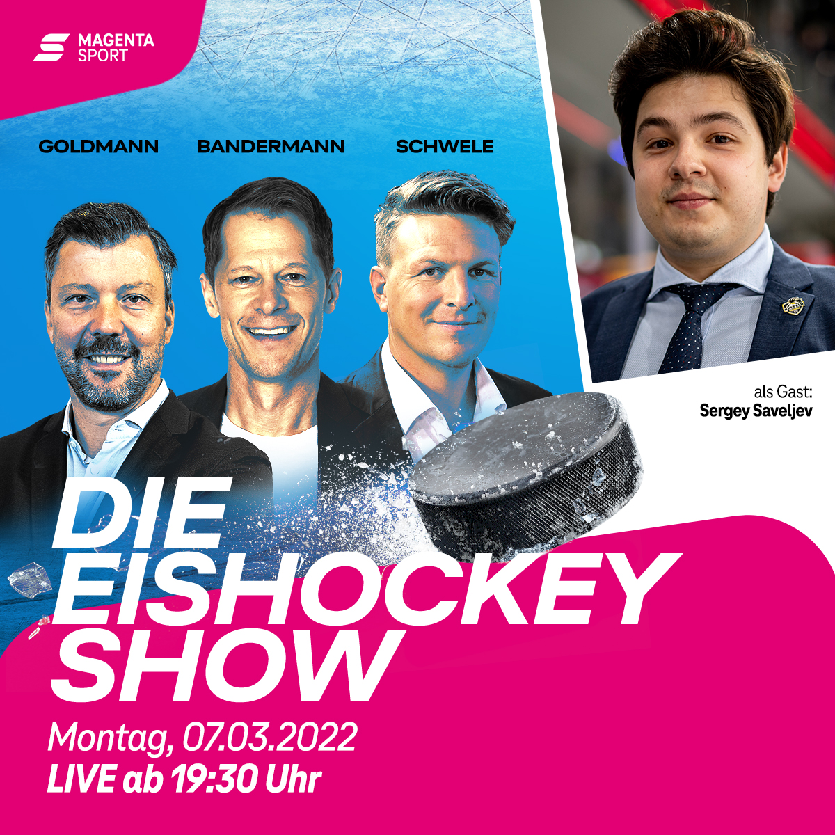 Die Eishockey Show