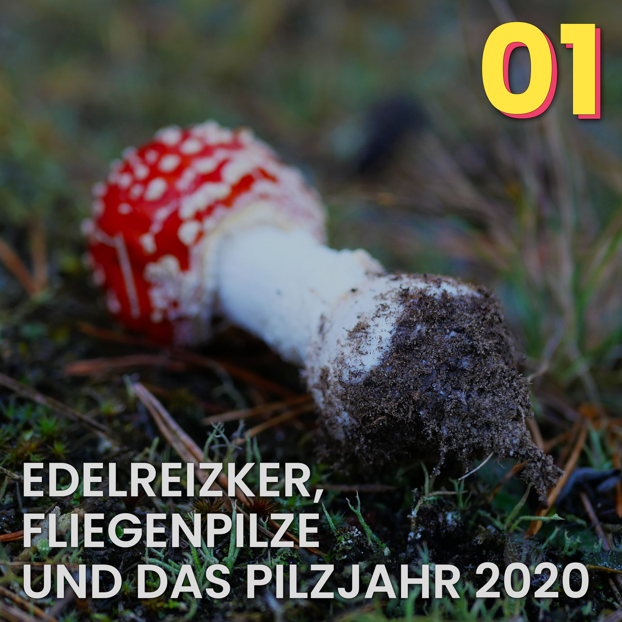Der Pilzpodcast