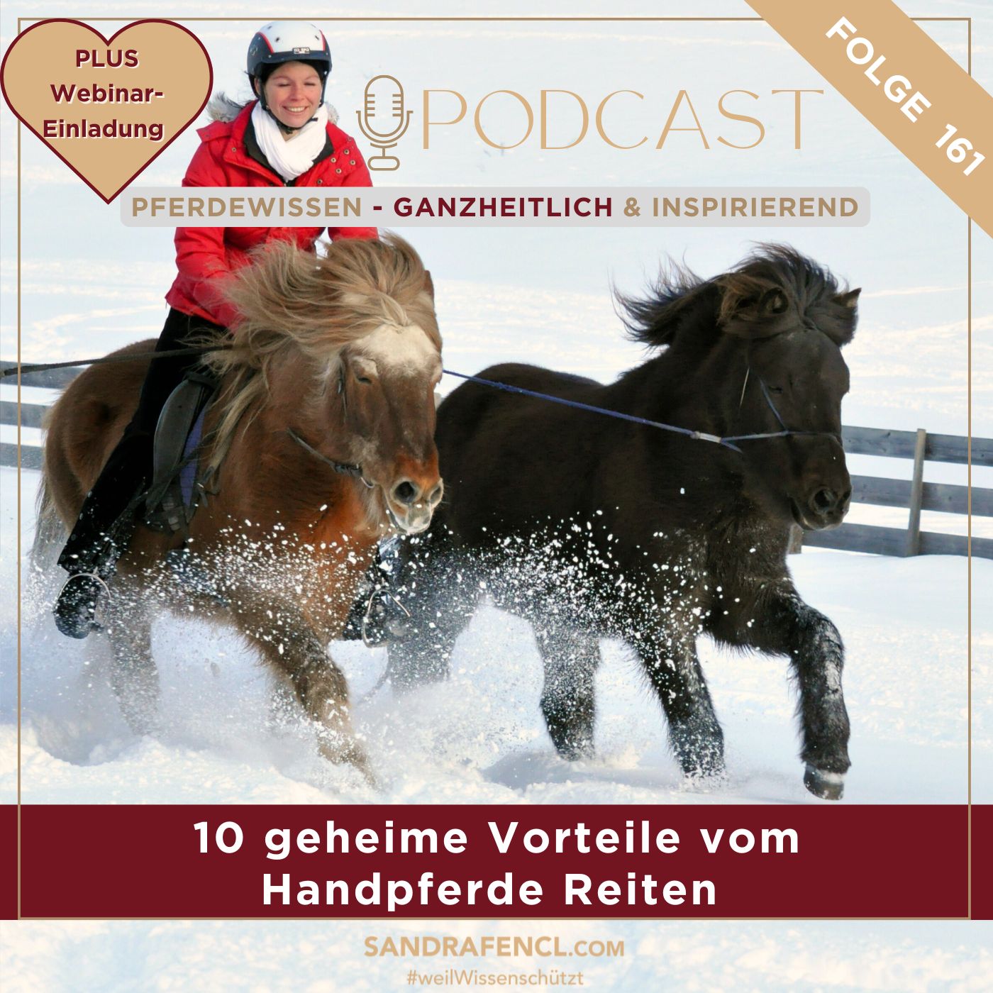 Pferdewissen - ganzheitlich & inspirierend mit Sandra Fencl