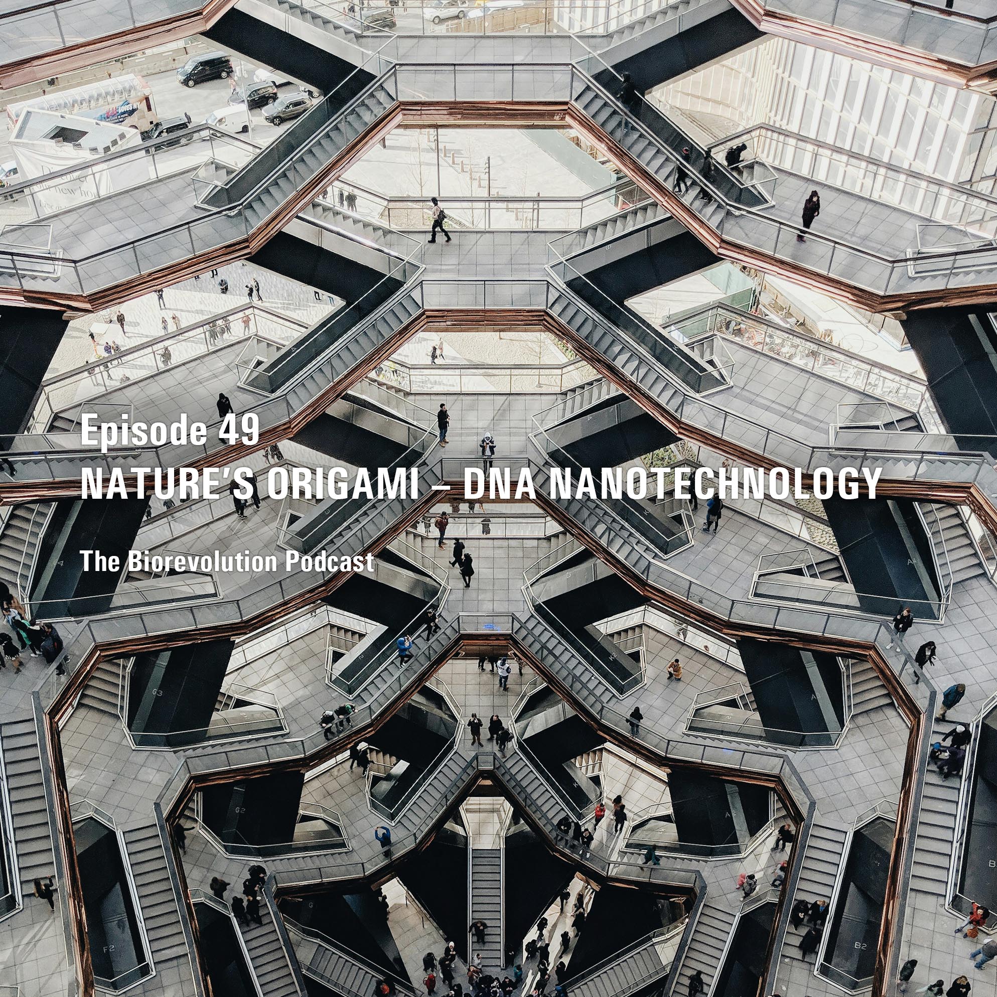 Nature’s origami– DNA nanotechnology episode artwork