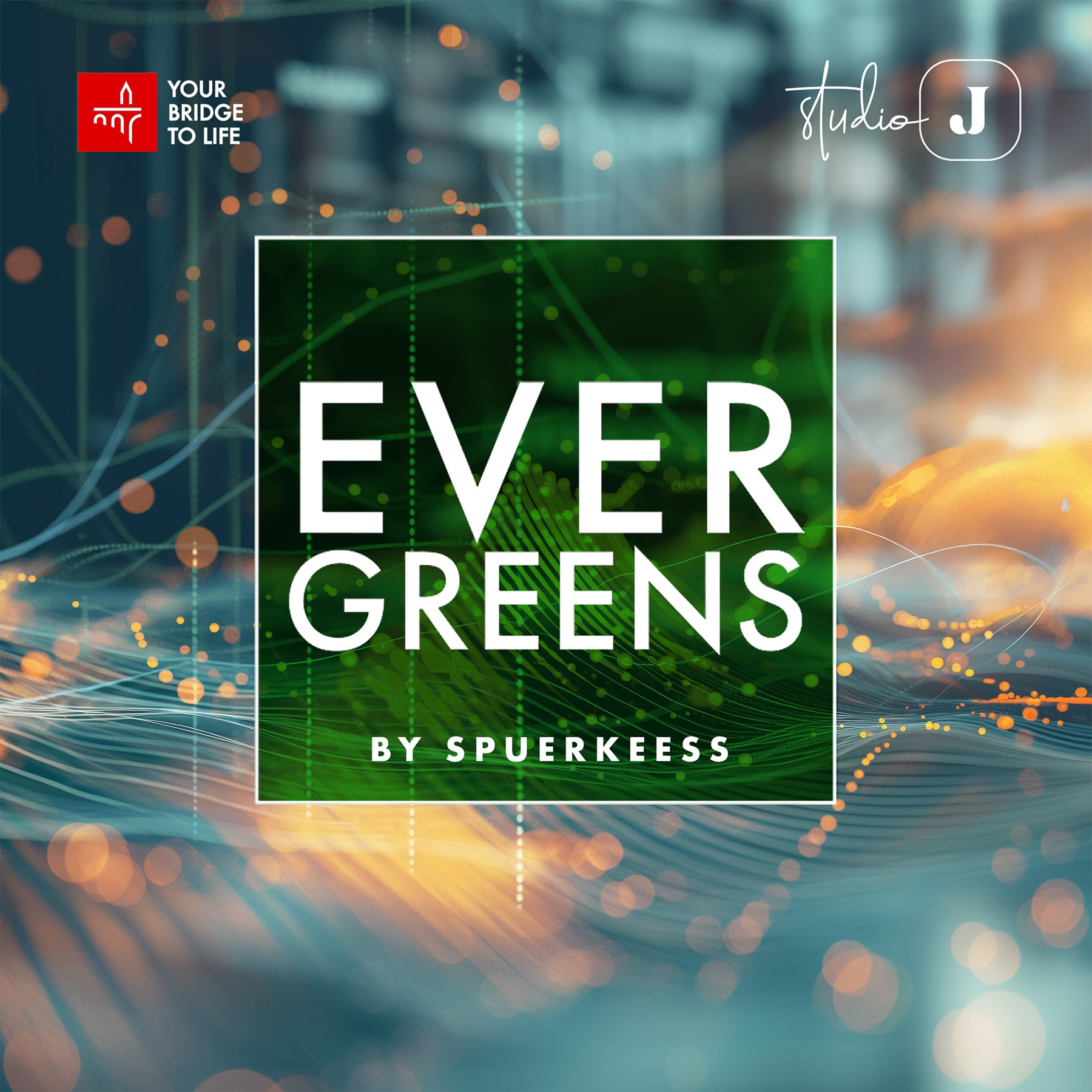 Evergreens by Spuerkeess