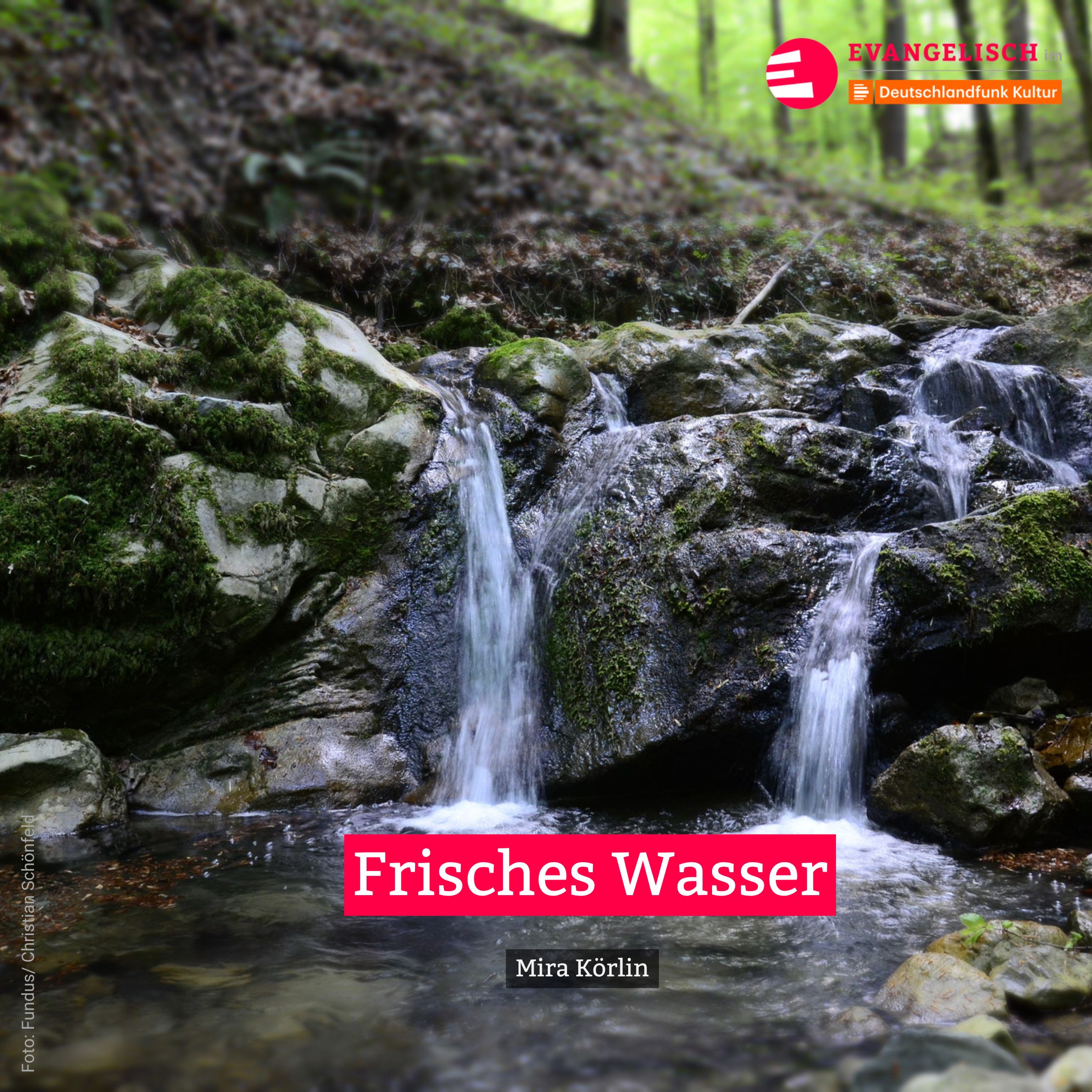 Frisches Wasser episode artwork