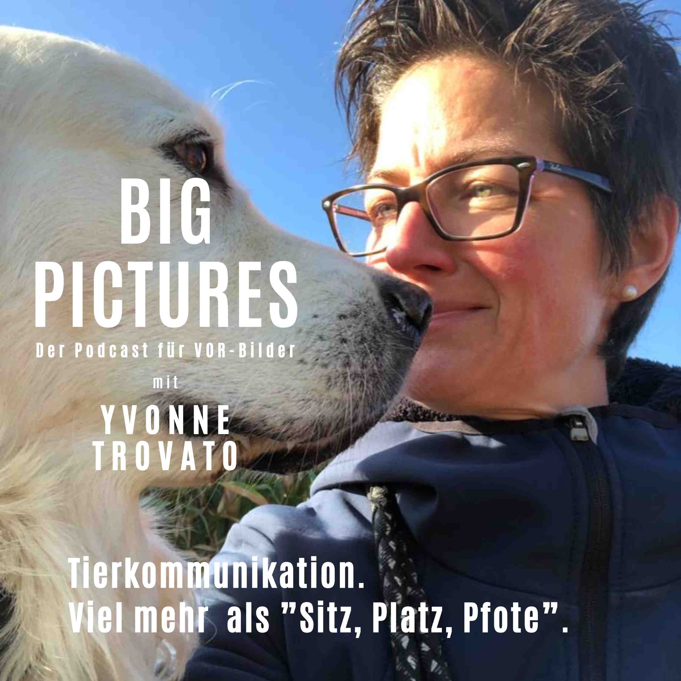 BIG PICTURES - Der Podcast für VOR-Bilder und Menschen, die über den Tellerrand schauen.