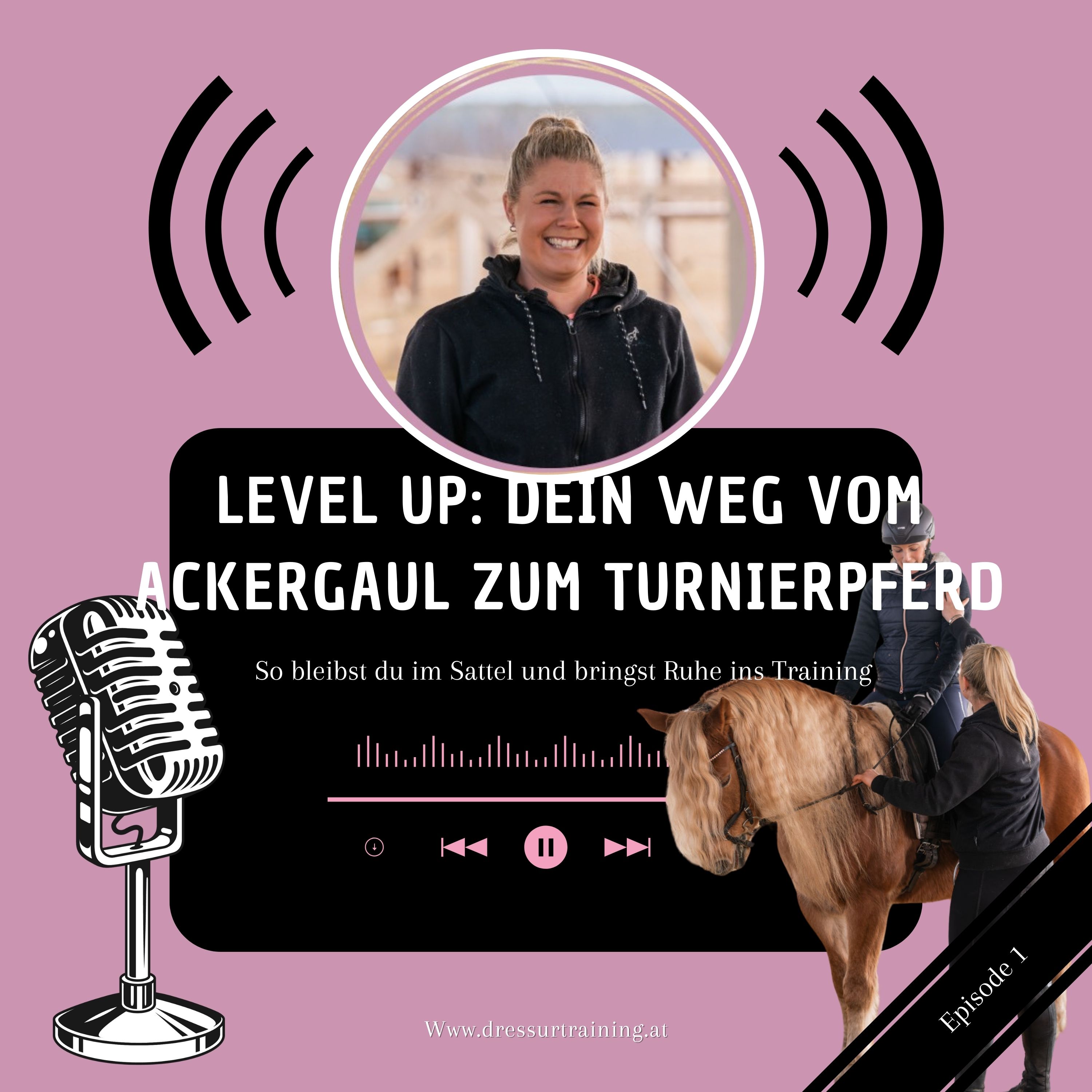 Level Up: Dein Weg vom Ackergaul zum Turnierpferd episode artwork