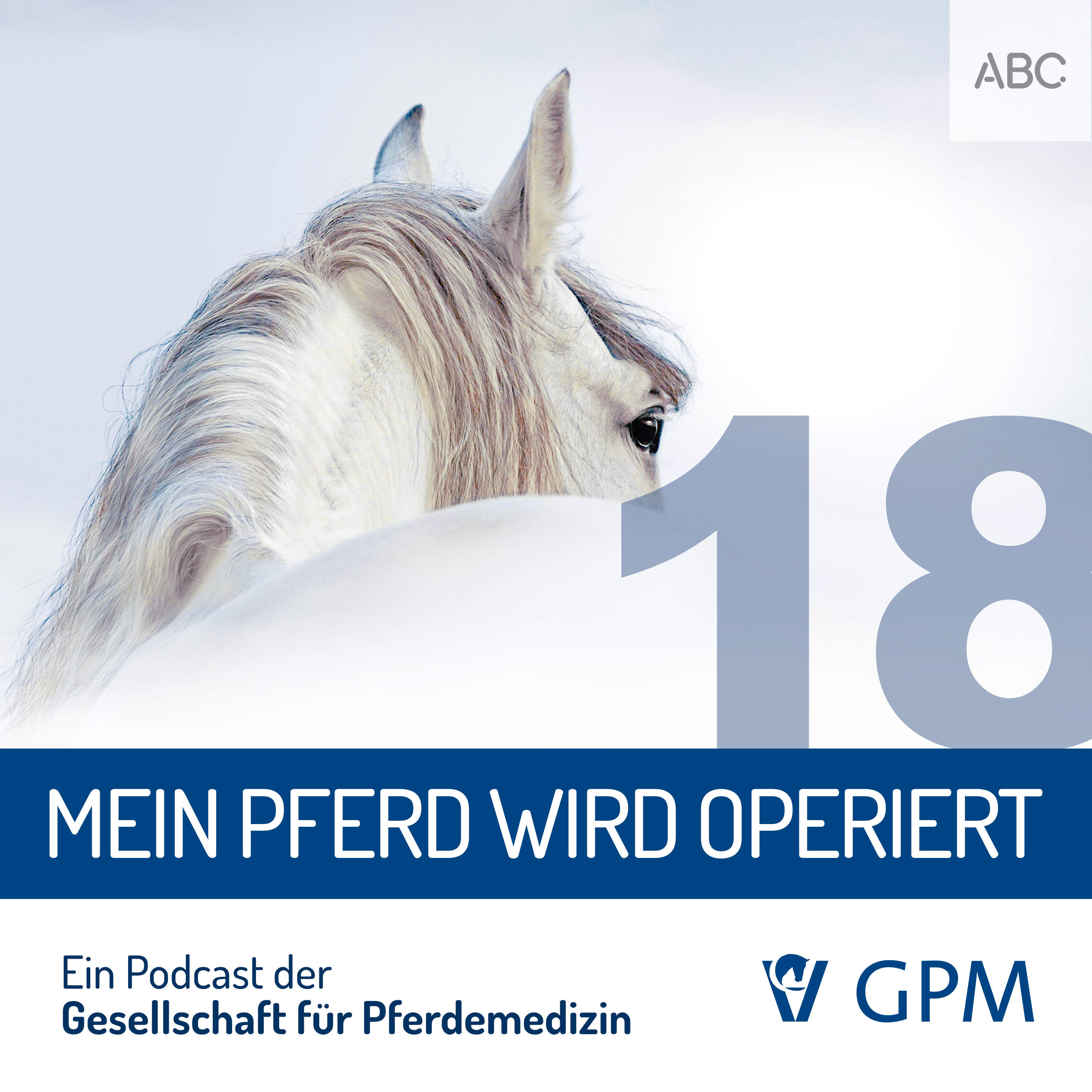 Pferdemedizin heute