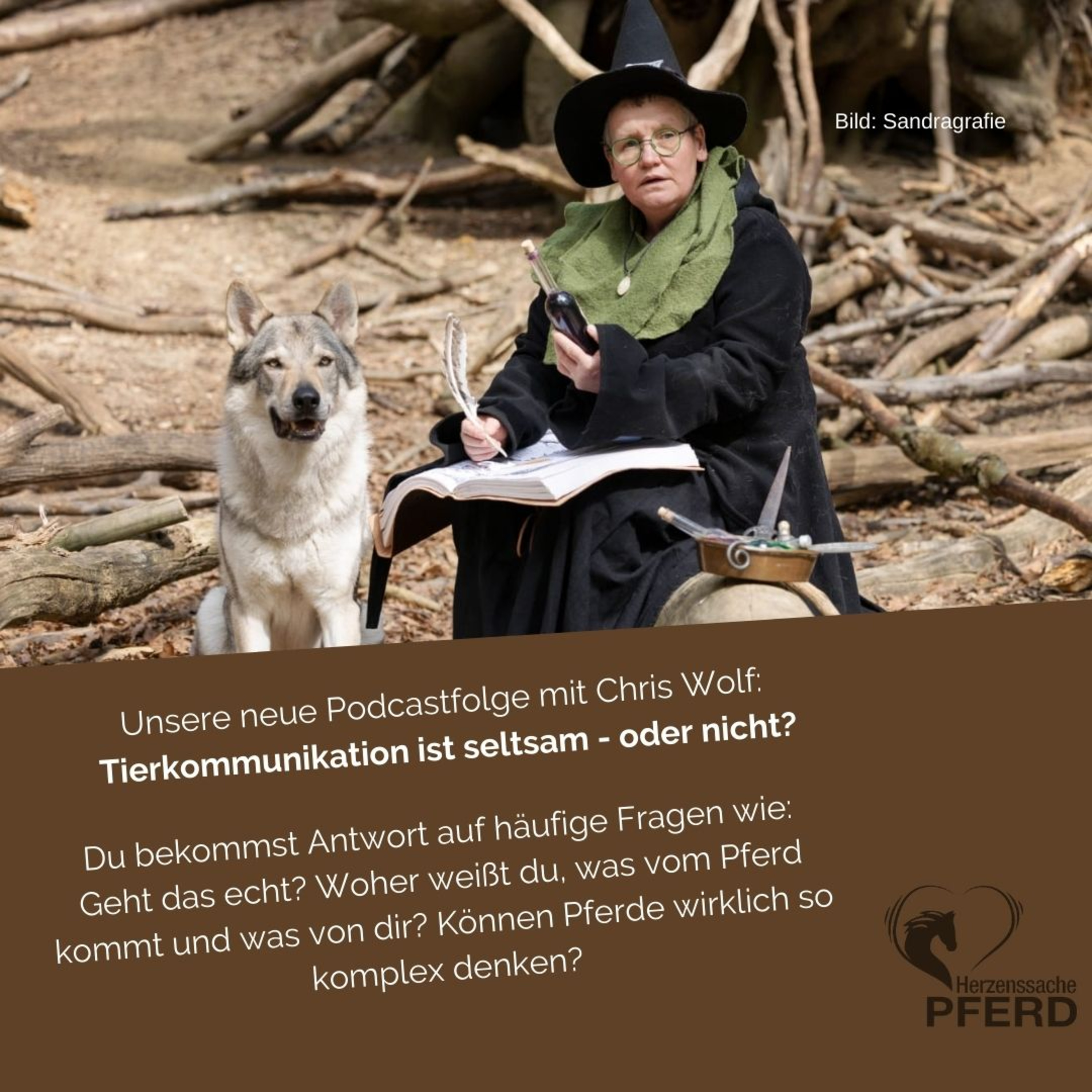 Pferde-Wissen mit Gefühl - Der Podcast von Herzenssache Pferd