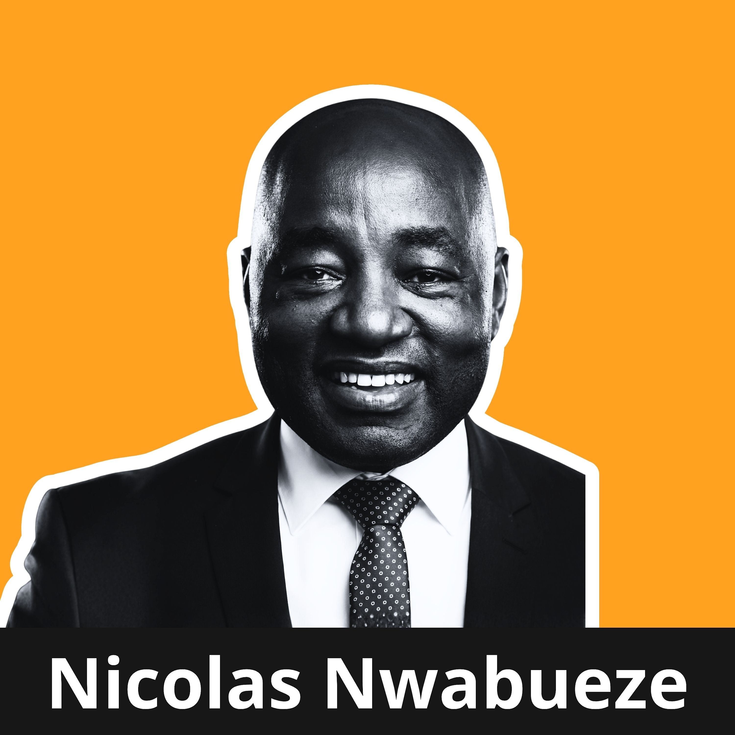 Testorganisation der Zukunft: Zellen statt Hierarchie - Nicolas Nwabueze
