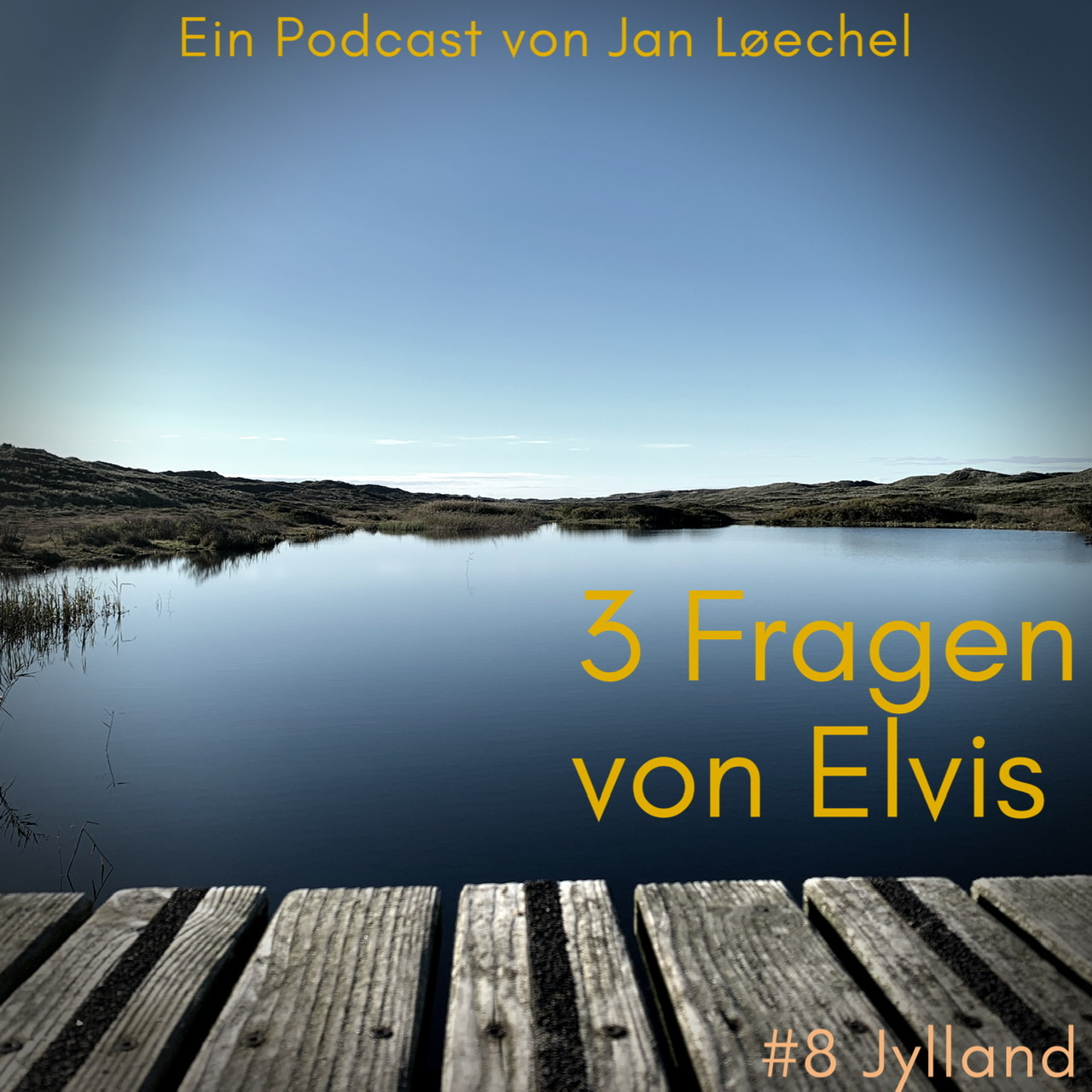 3 Fragen von Elvis