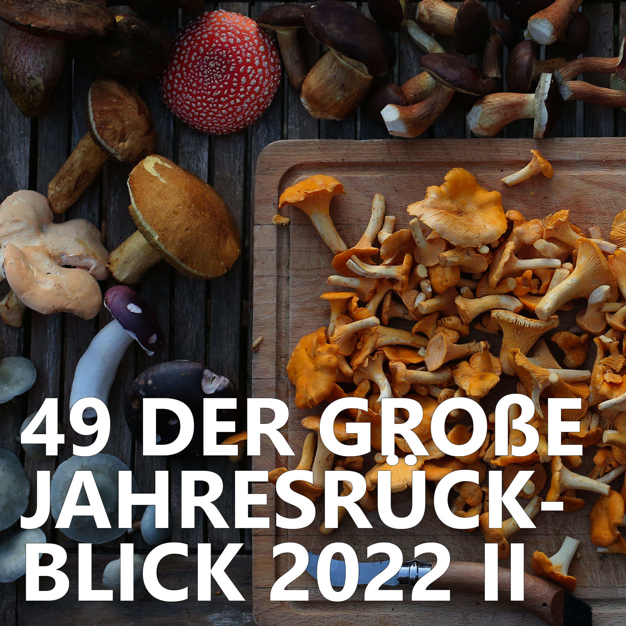 Der Pilzpodcast