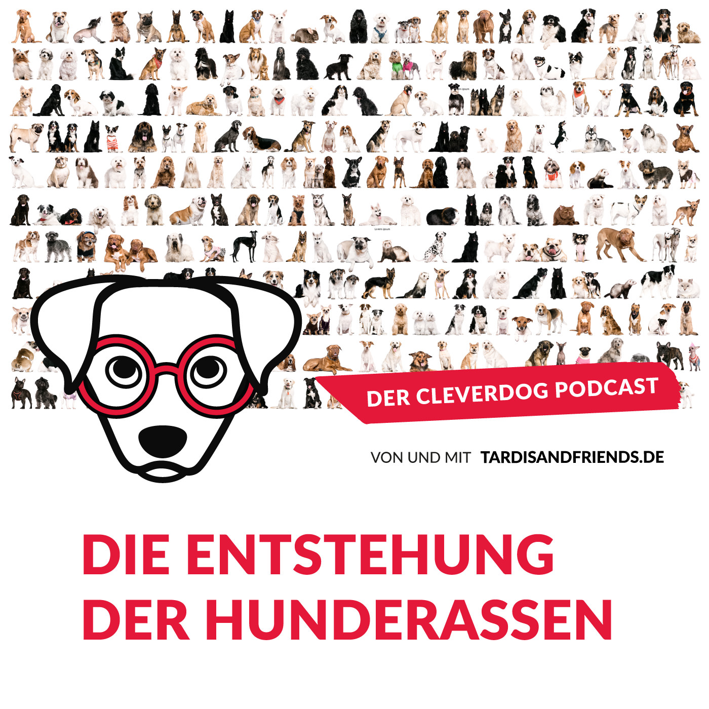 Der Cleverdog Podcast – mehr Wissen rund um den Hund!
