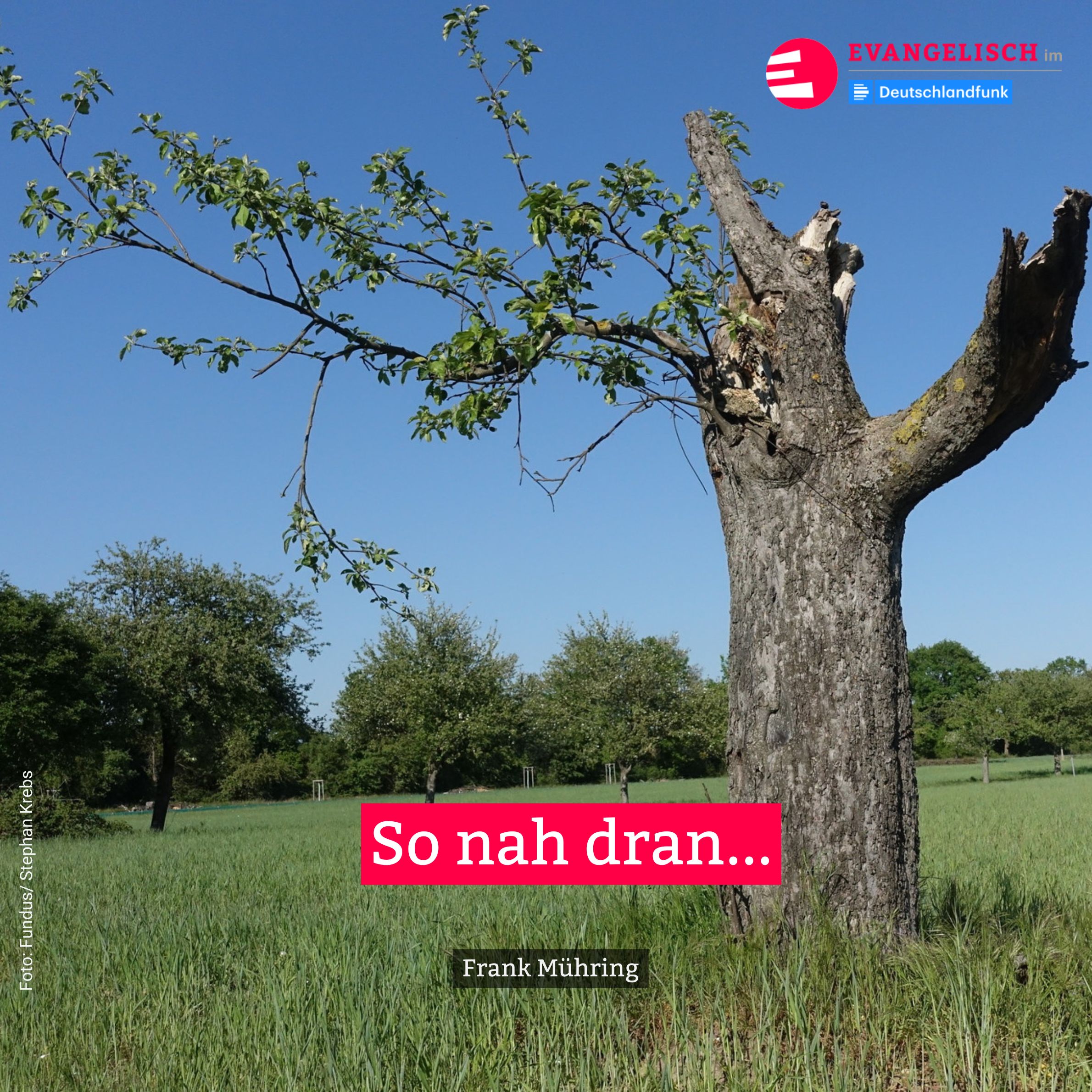 So nah dran episode artwork