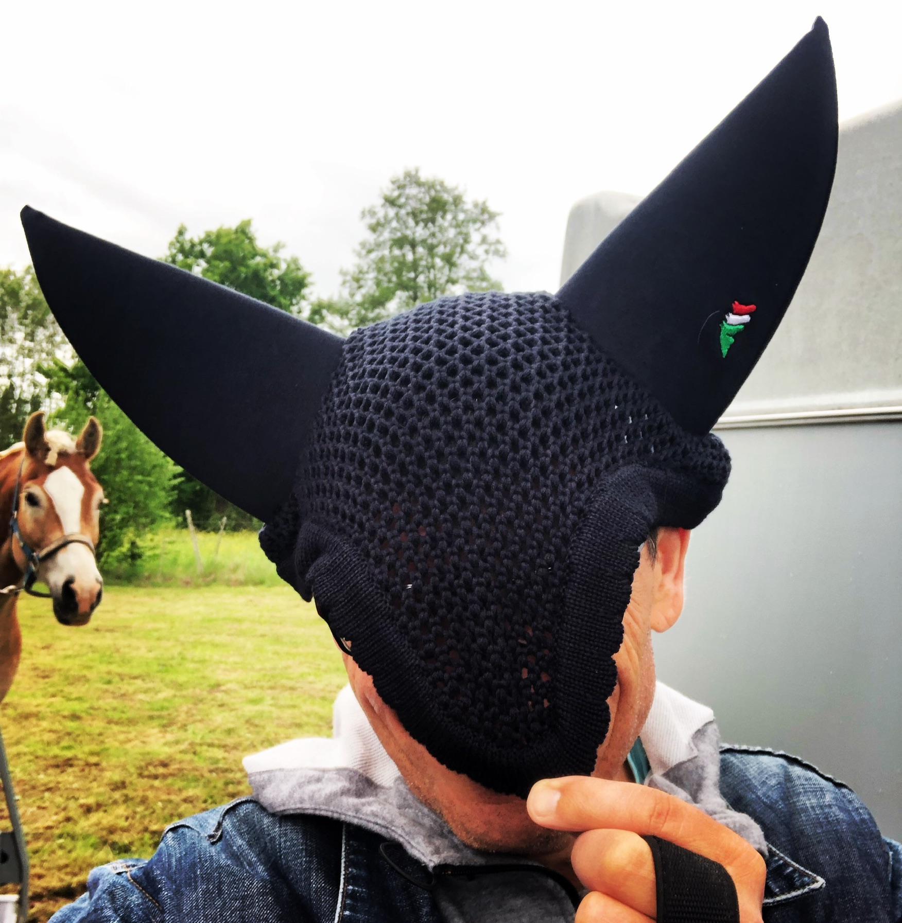 Der Pferdepodcast