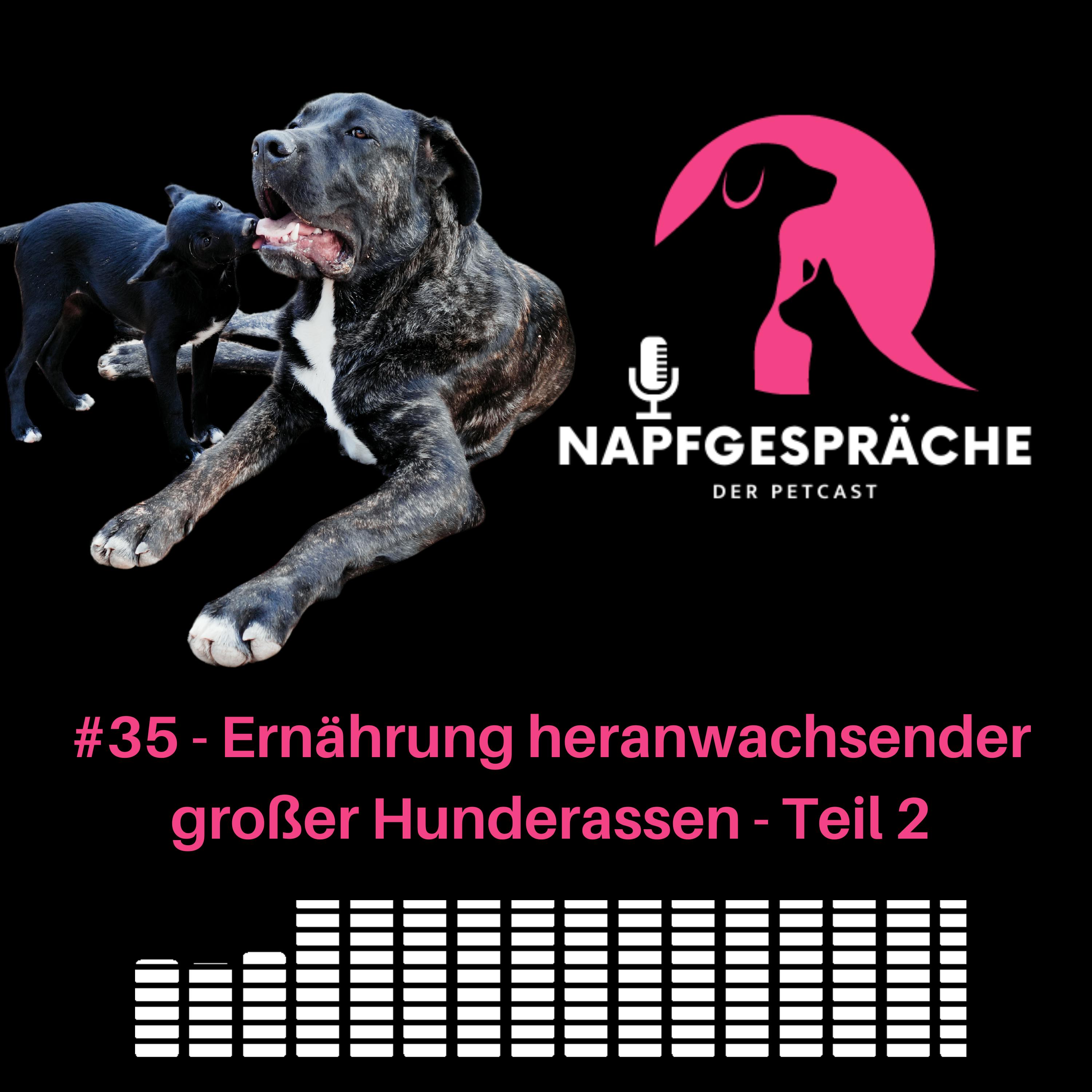 Napfgespräche - Die Experten für Ernährung und Supplemente für Hunde und Katzen
